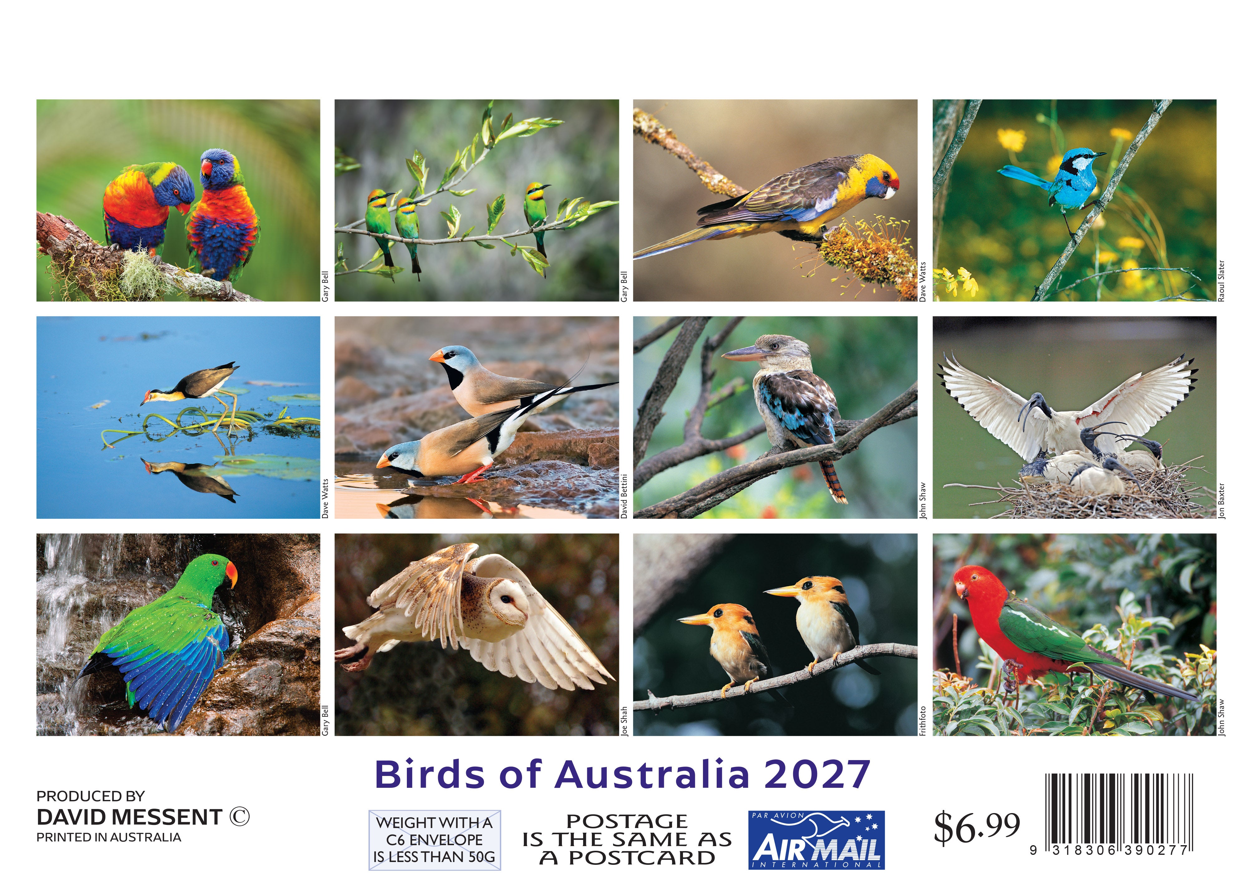 Mini_Birds_Back_9318306390277.jpg