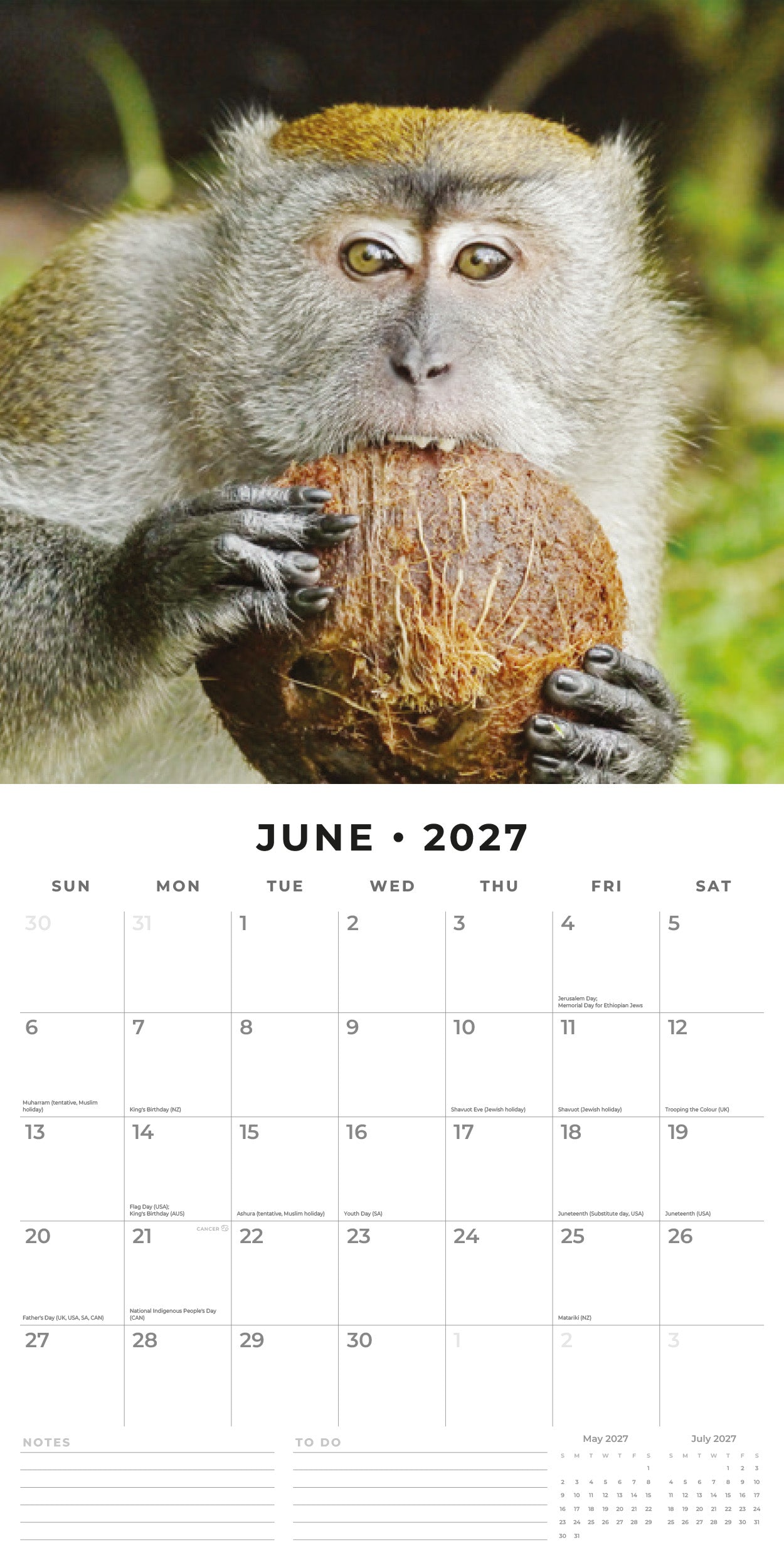 2027 Monkey Business - Square Wall Calendar