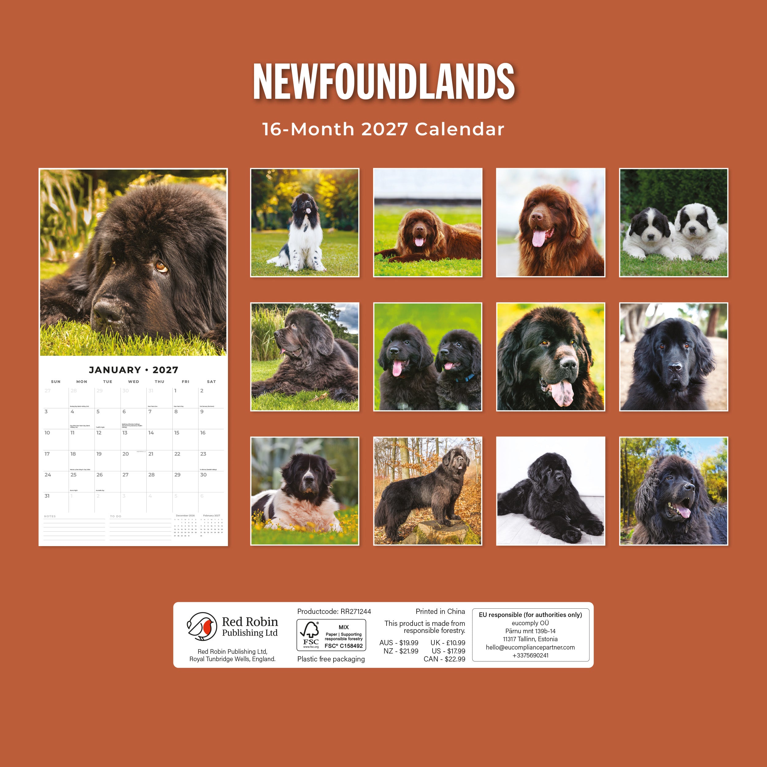 2027 Newfoundlands - Square Wall Calendar