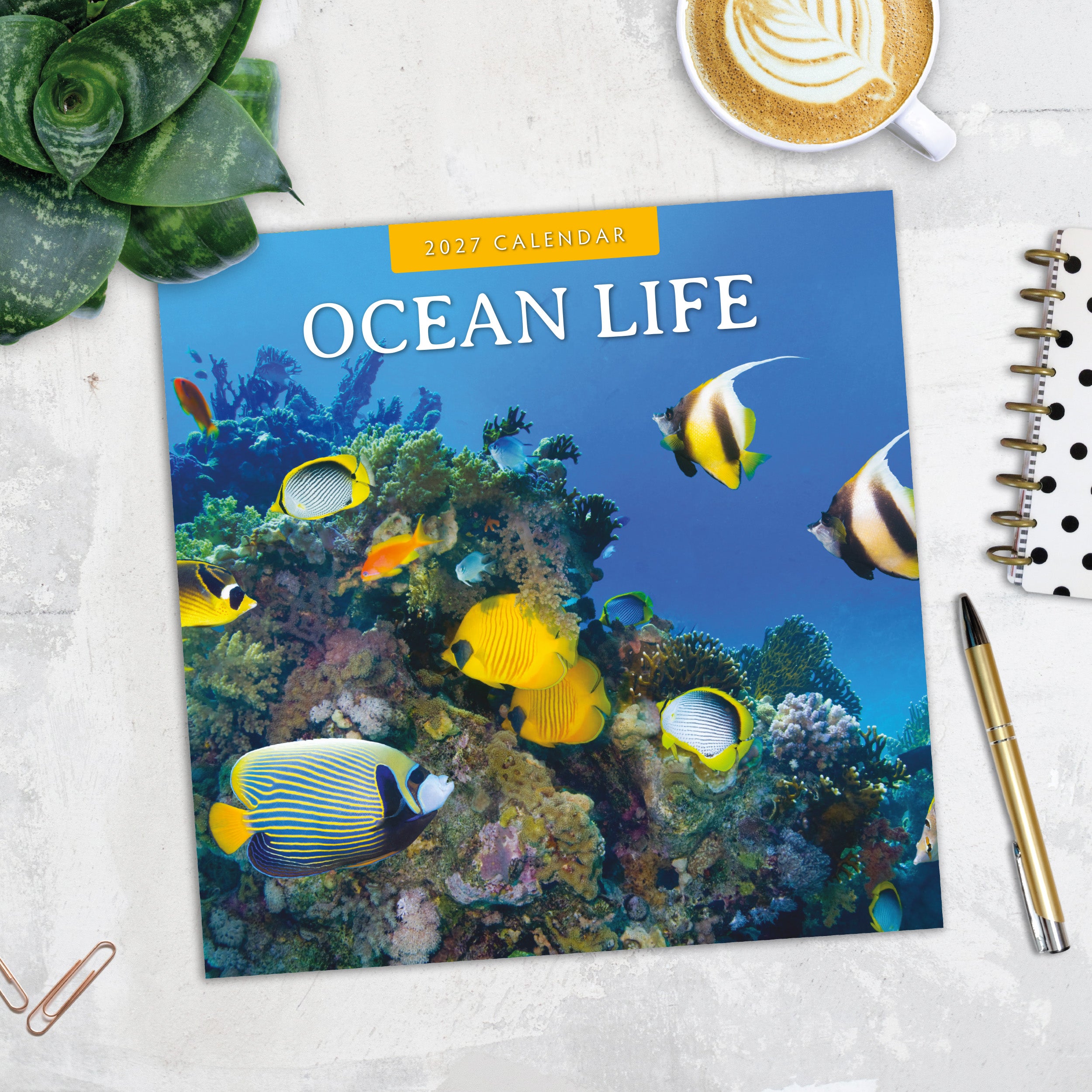 2027 Ocean Life - Square Wall Calendar