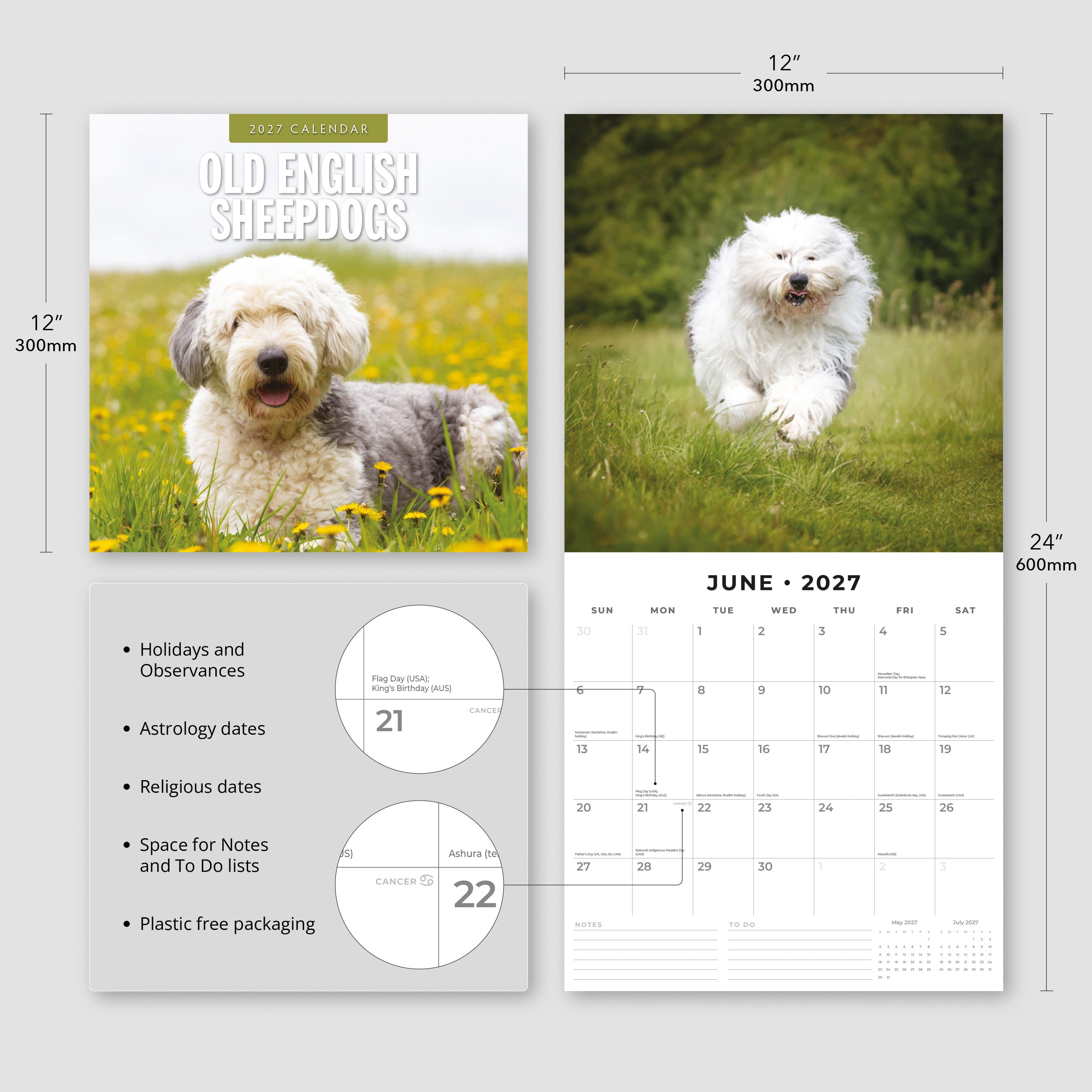 2027 Old English Sheepdogs - Square Wall Calendar