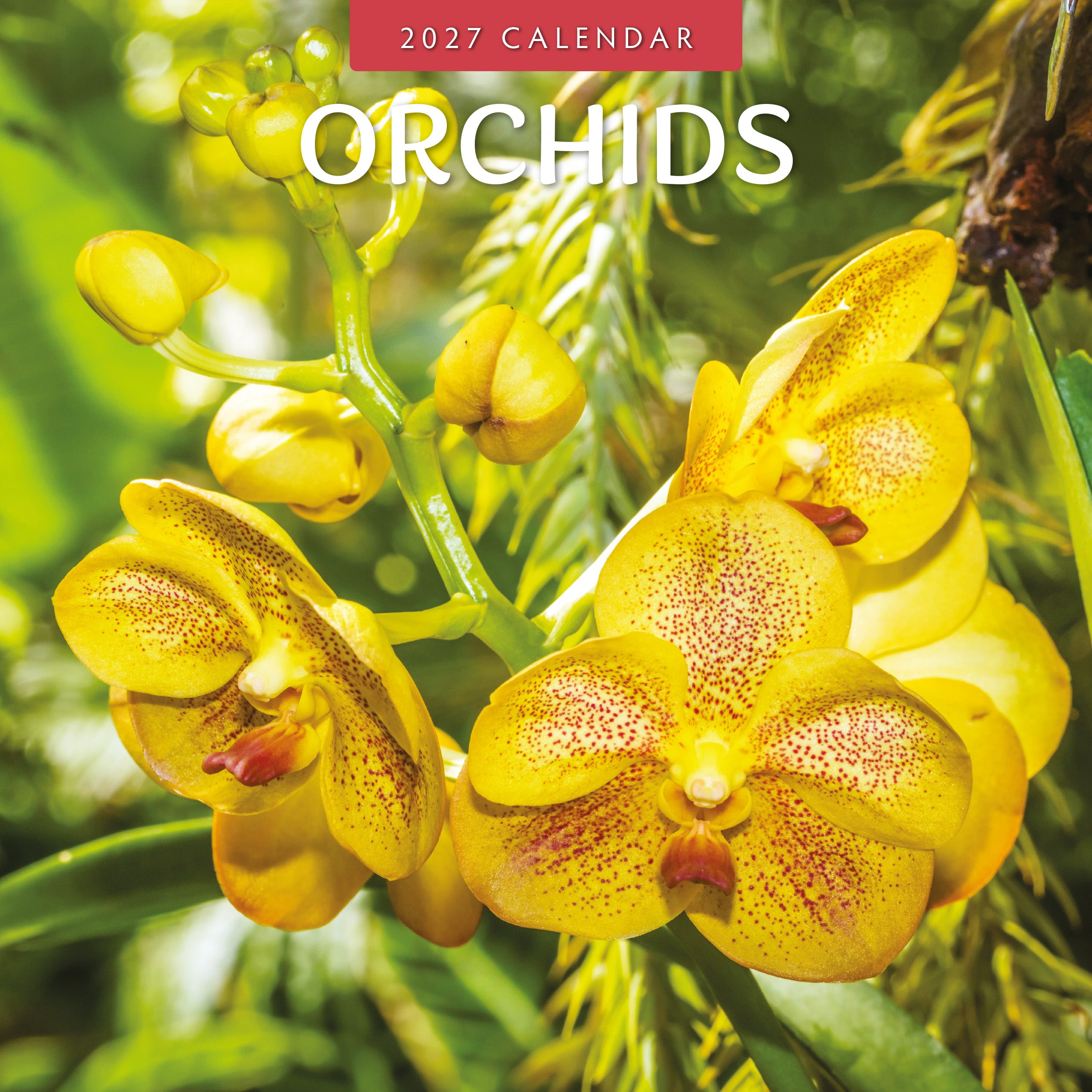 2027 Orchids - Square Wall Calendar