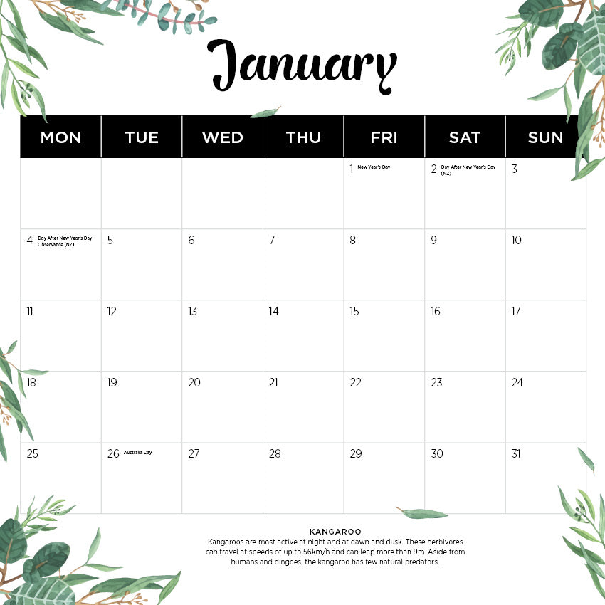 2027 Our Australia Native Animals - Square Wall Calendar