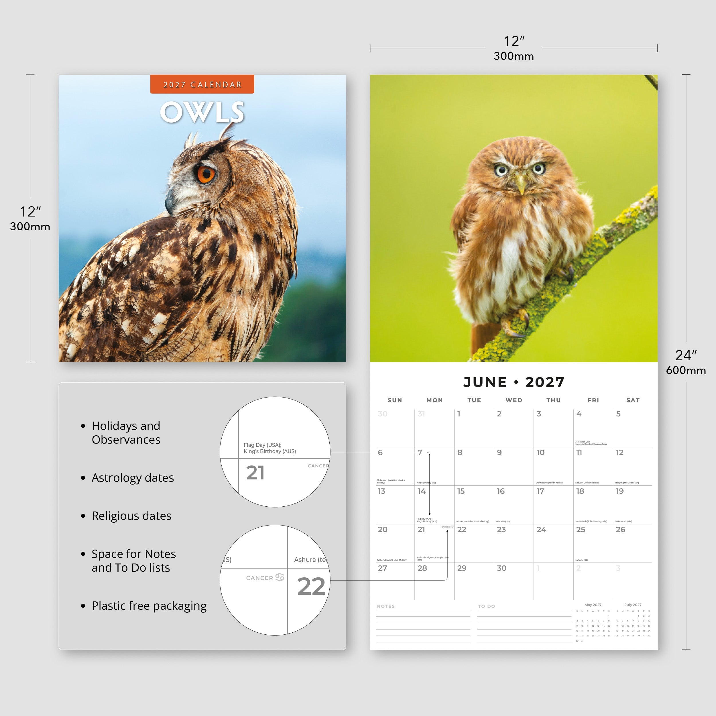 2027 Owls - Square Wall Calendar