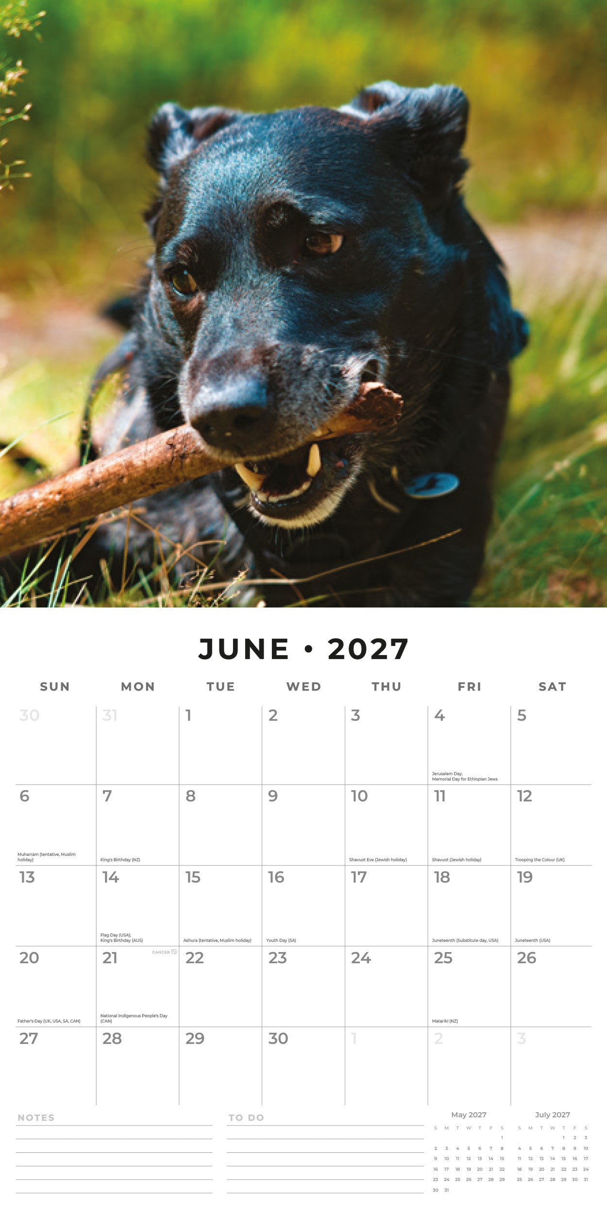 2027 Patterdale Terriers - Square Wall Calendar