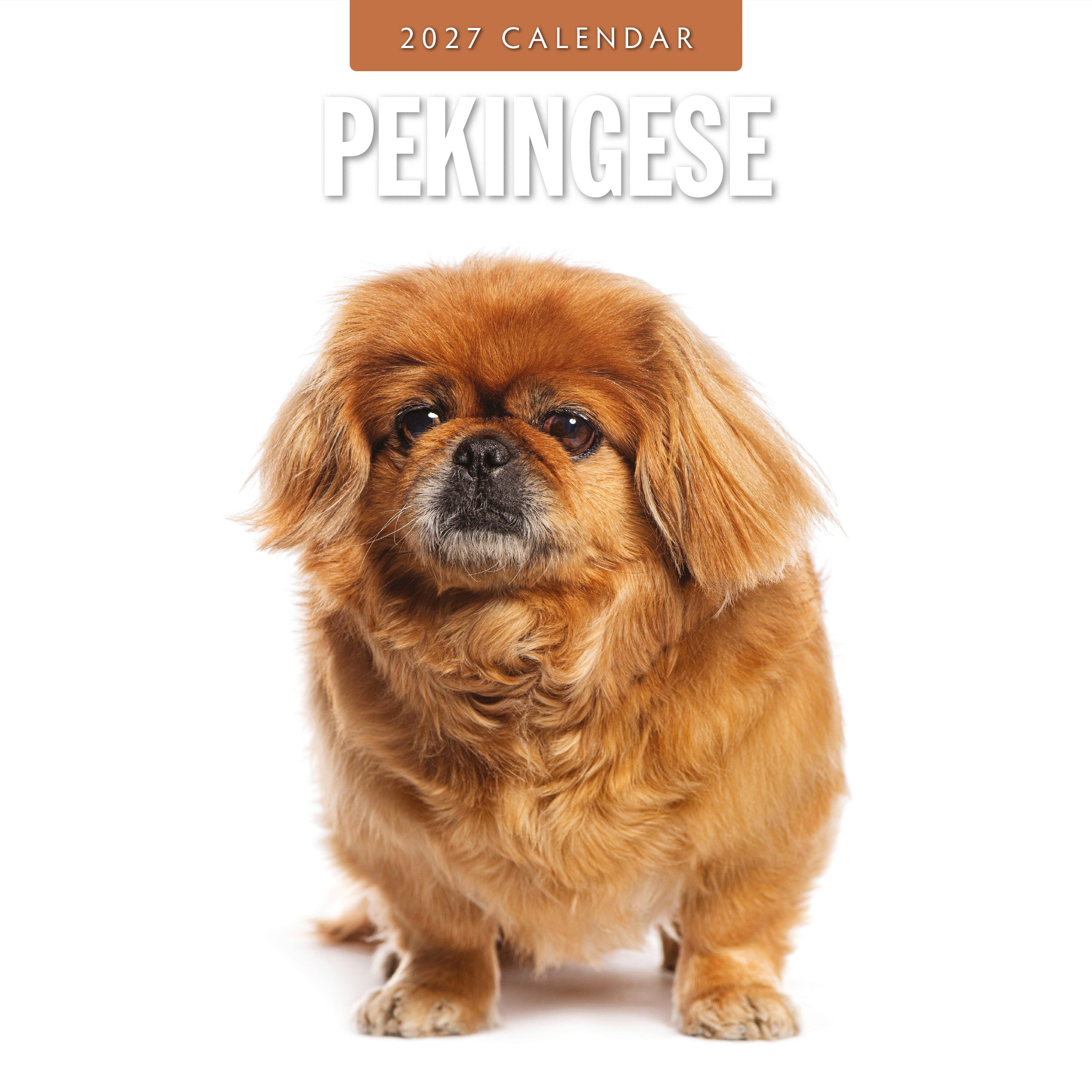 2027 Pekingese - Square Wall Calendar