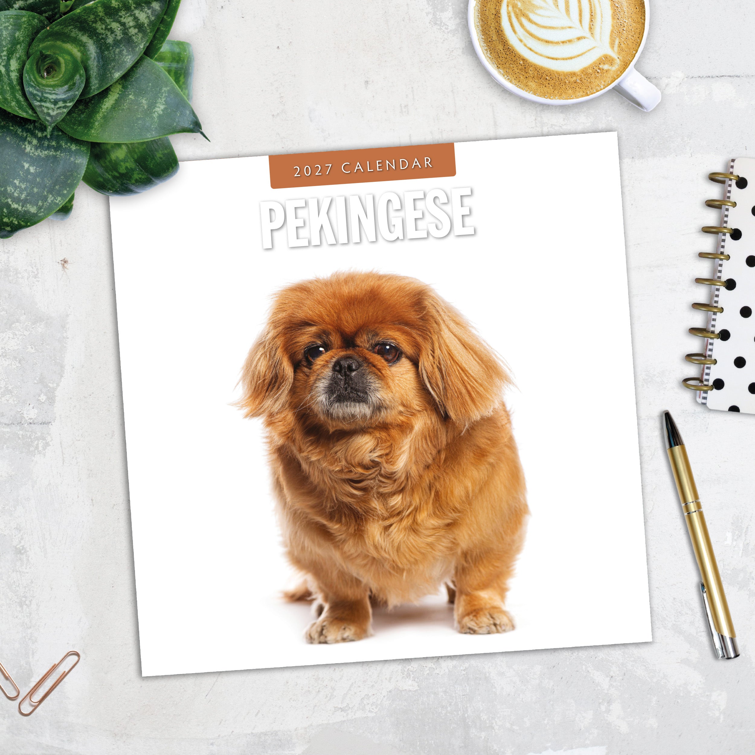 2027 Pekingese - Square Wall Calendar
