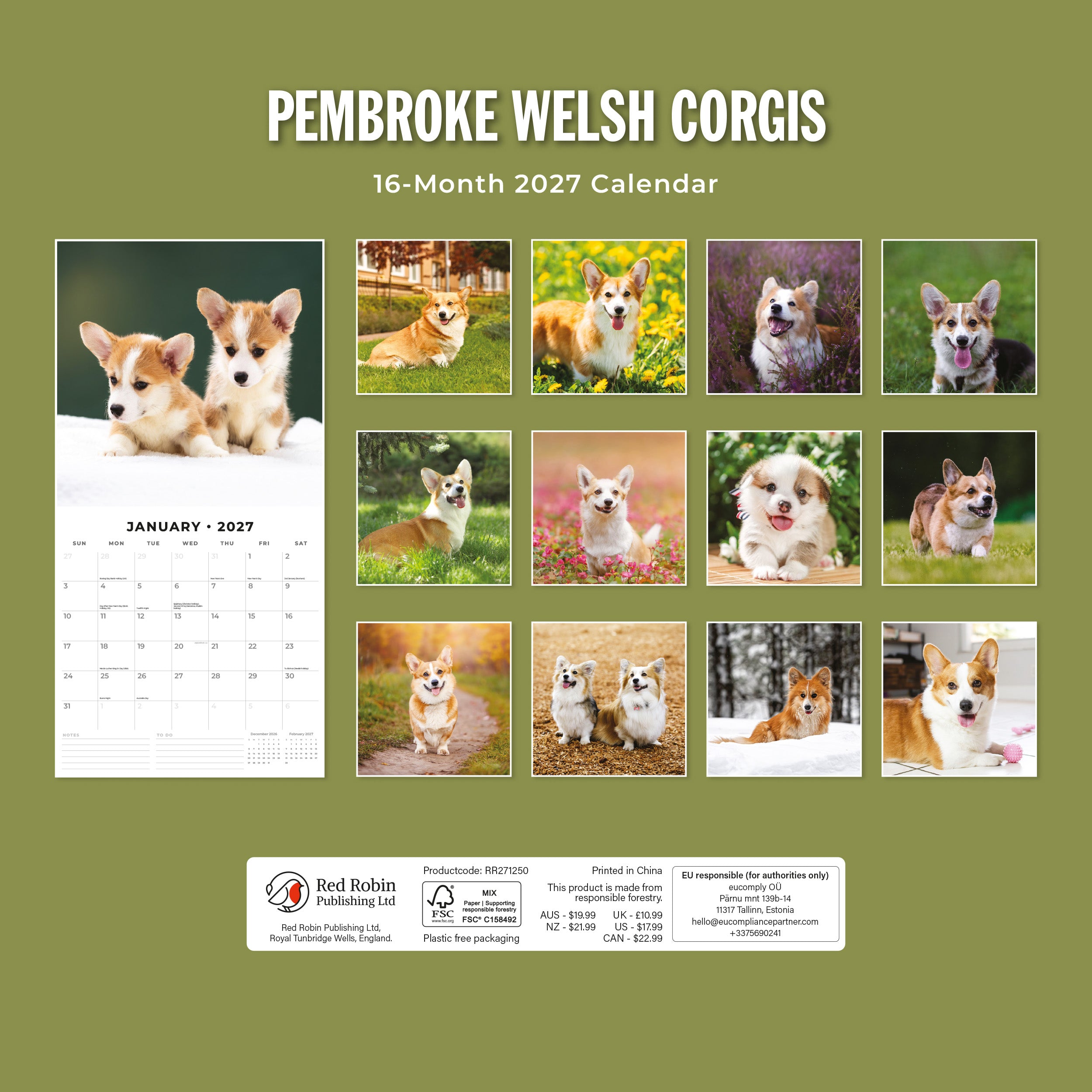2027 Pembroke Welsh Corgis - Square Wall Calendar