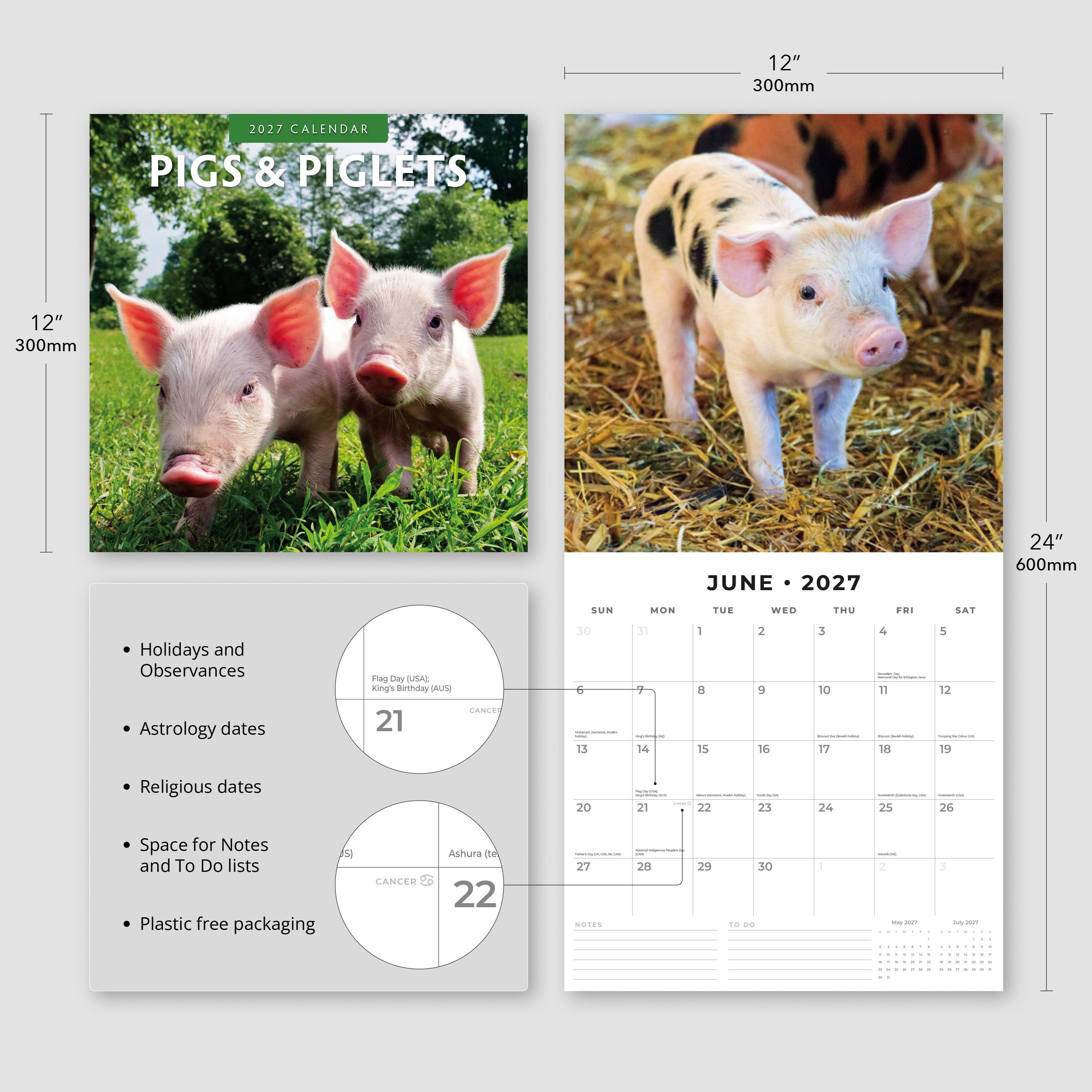 2027 Pigs & Piglets - Square Wall Calendar