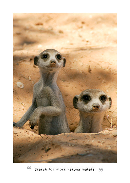 2027 A Meerkat's Guide To Life - Weekly Diary/Planner