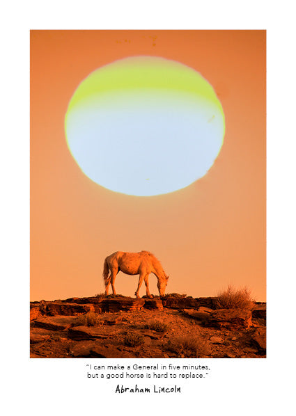 2027 Wild Horses - Weekly Diary/Planner