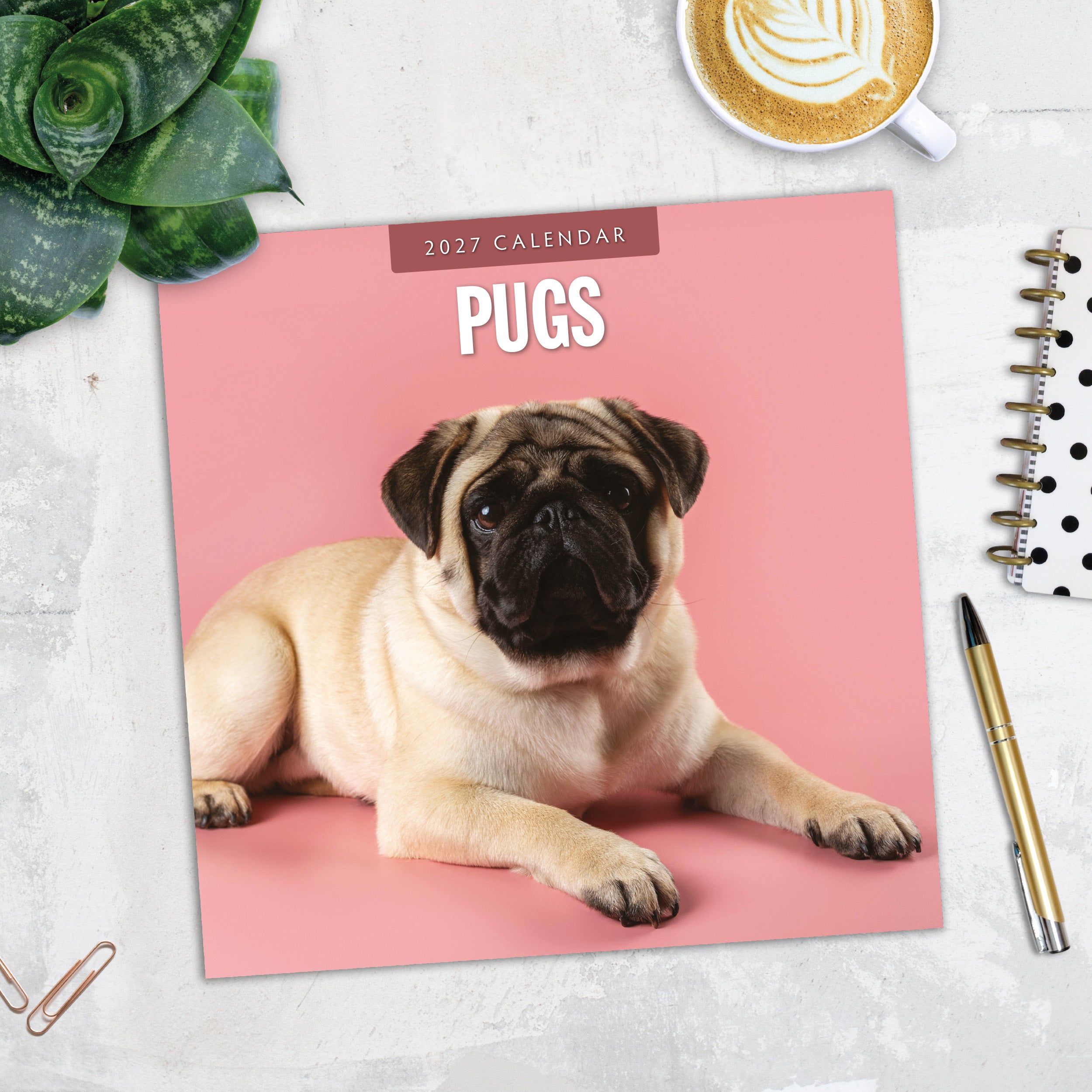 2027 Pugs - Square Wall Calendar