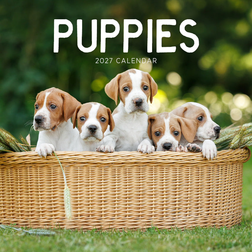 2027 Puppies  - Square Wall Calendar