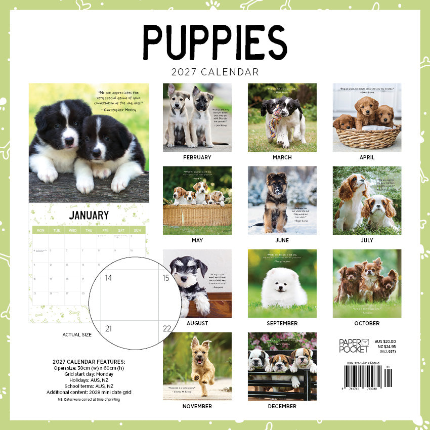 2027 Puppies  - Square Wall Calendar