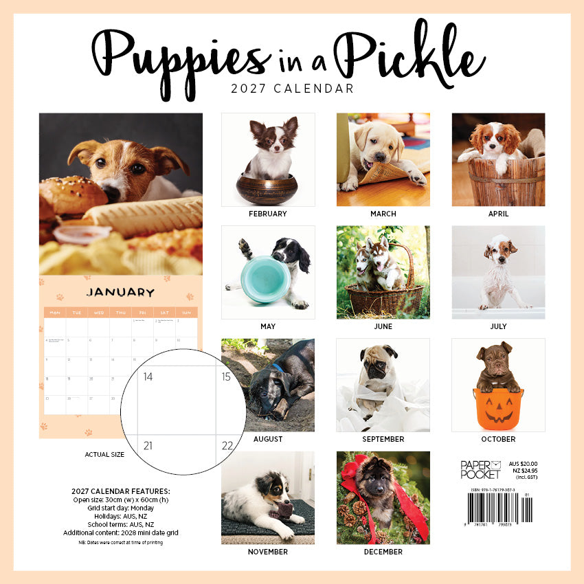 2027 Puppies In A Pickle - Square Wall Calendar