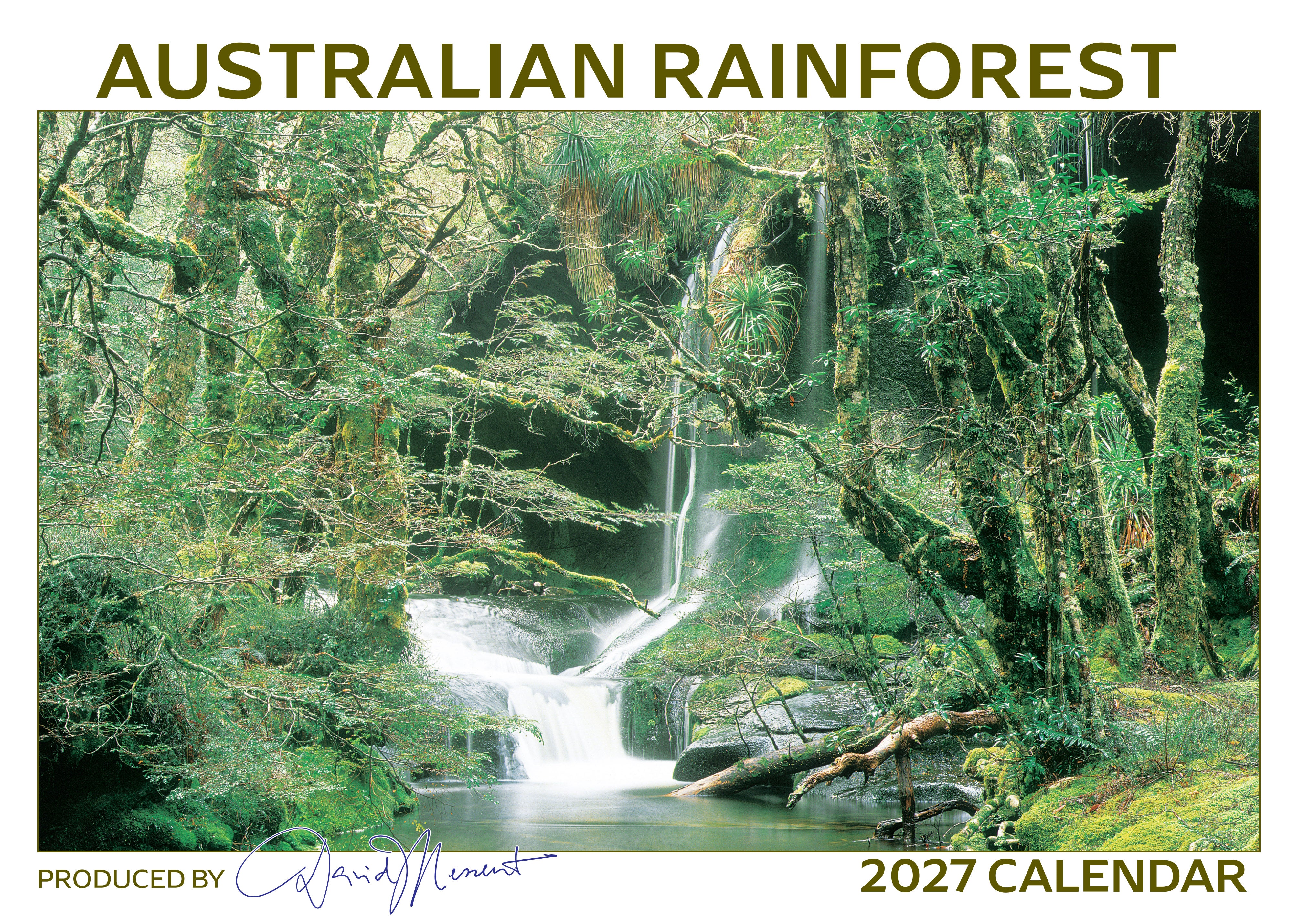 Rainforest_Front_9318306160276.jpg