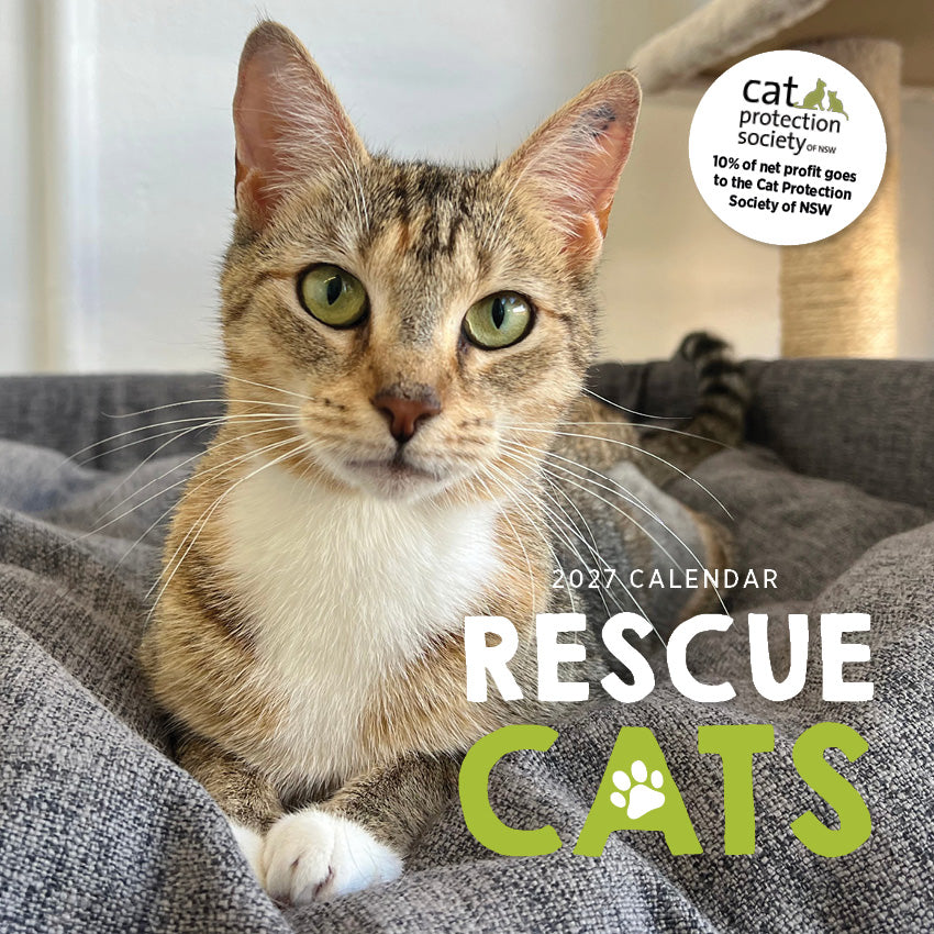 2027 Rescue Cats - Square Wall Calendar