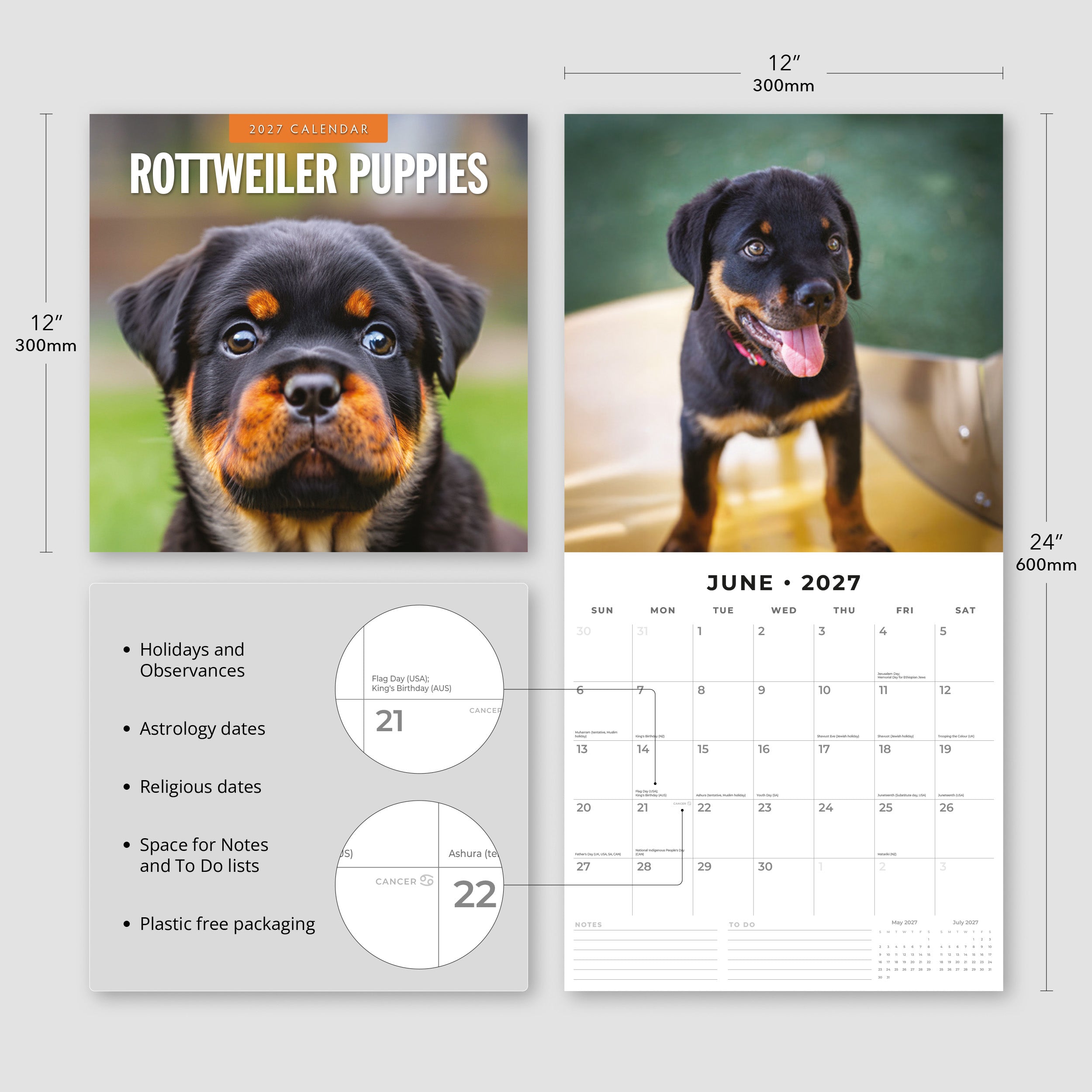 2027 Rottweiler Puppies - Square Wall Calendar