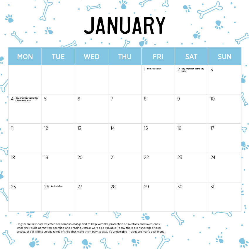 2027 Schnauzers - Square Wall Calendar