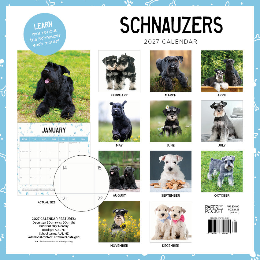 2027 Schnauzers - Square Wall Calendar