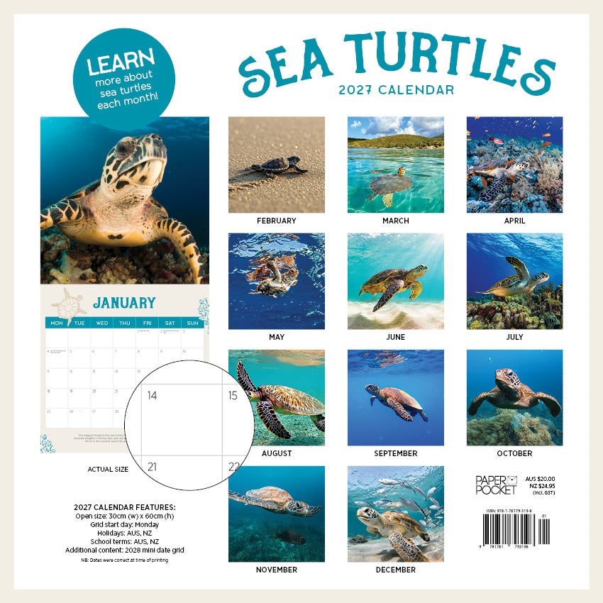 2027 Sea Turtles - Square Wall Calendar