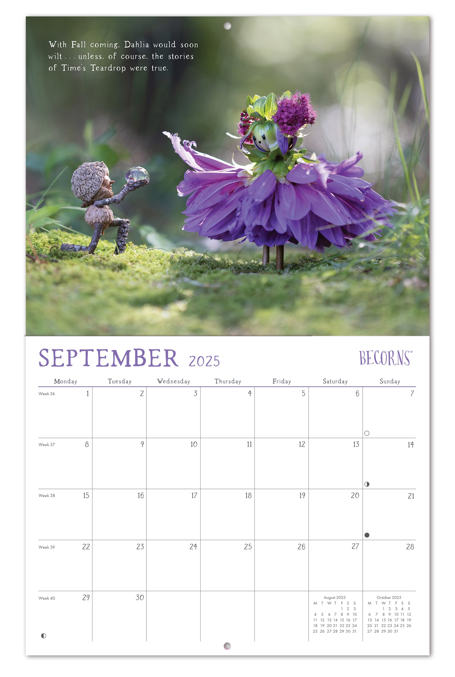 2025 Becorns The Art Of David M Bird Wall Calendar