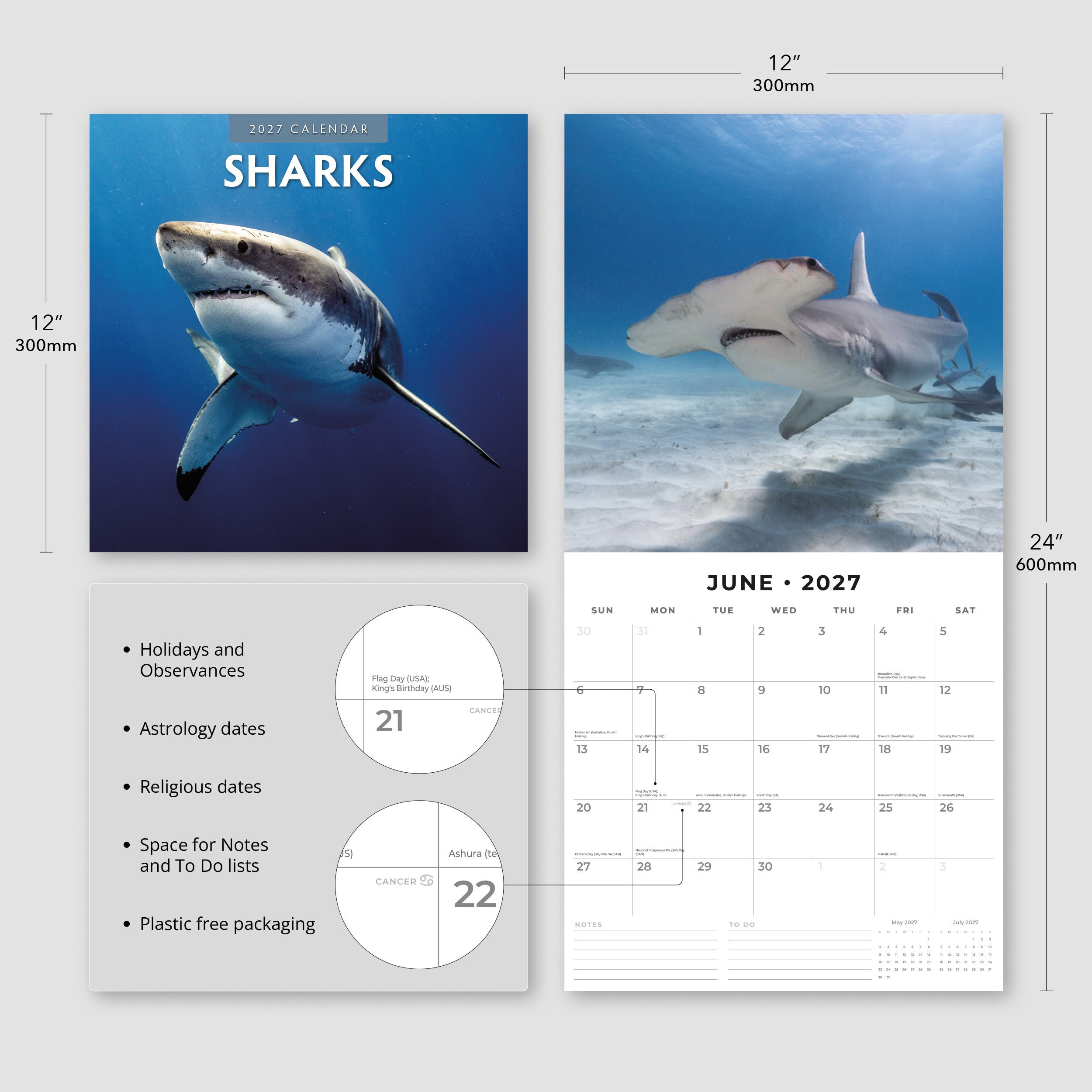 2027 Sharks - Square Wall Calendar