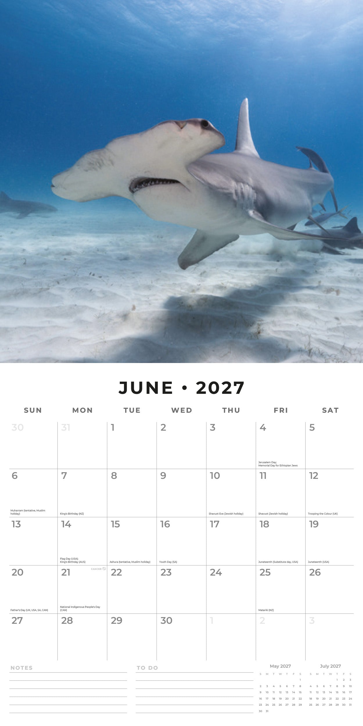 2027 Sharks - Square Wall Calendar