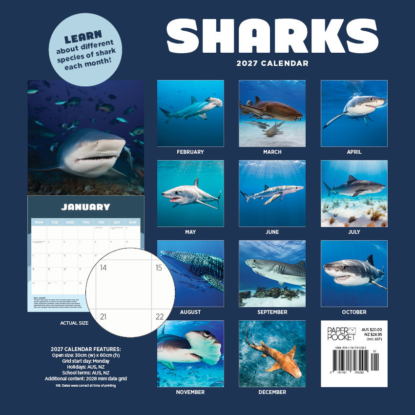 2027 Sharks - Square Wall Calendar