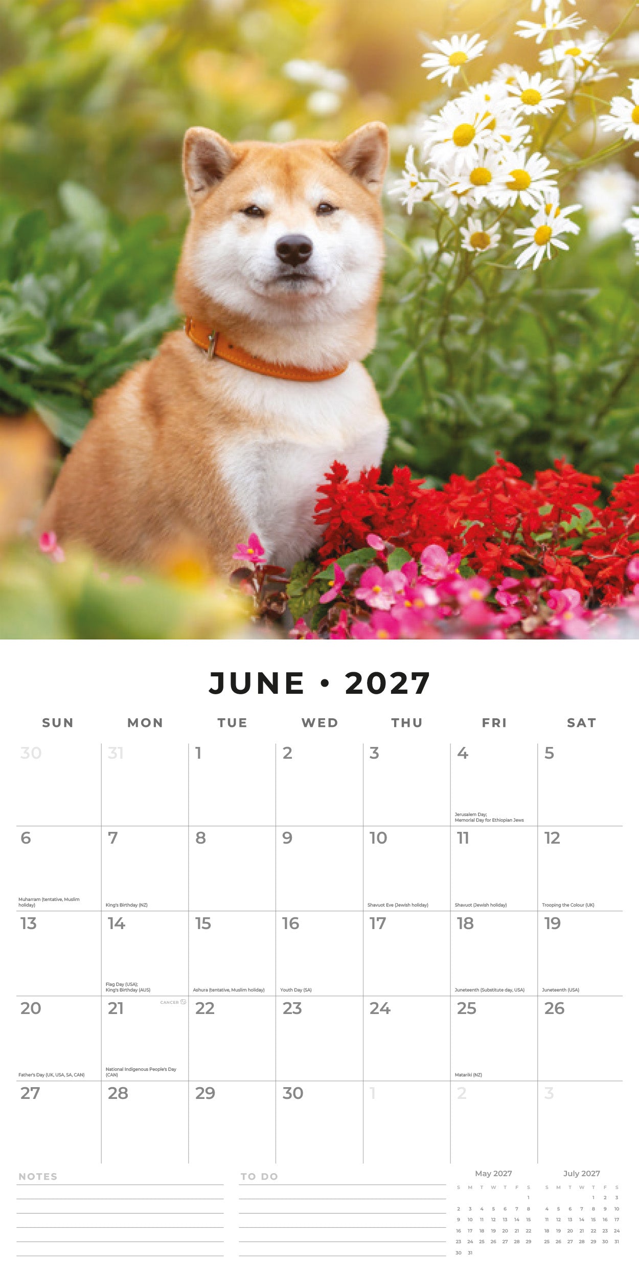 2027 Shiba Inu - Square Wall Calendar