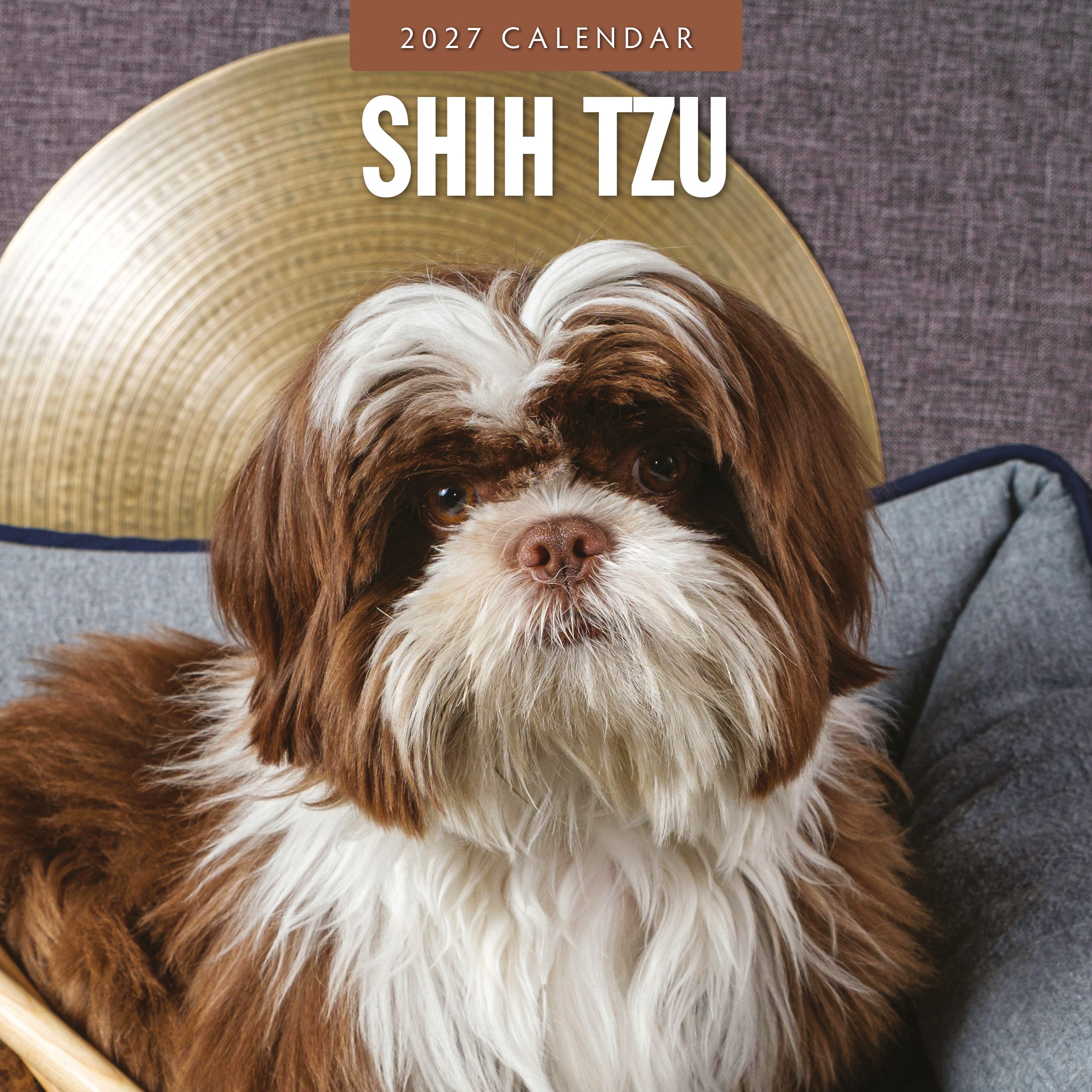 2027 Shih Tzu - Square Wall Calendar