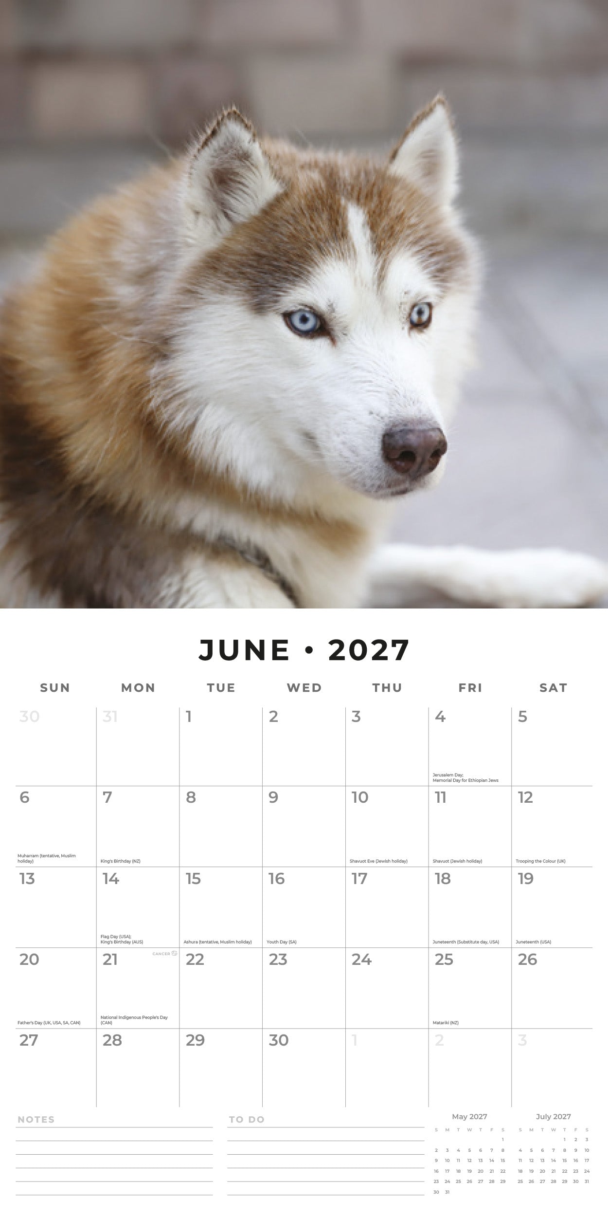 2027 Siberian Huskies - Square Wall Calendar