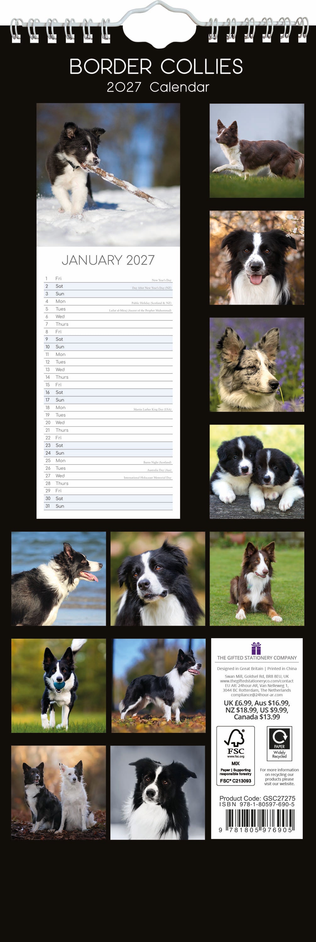 Slimline_Animals_Dogs_Border_Collies_2027_Back.jpg