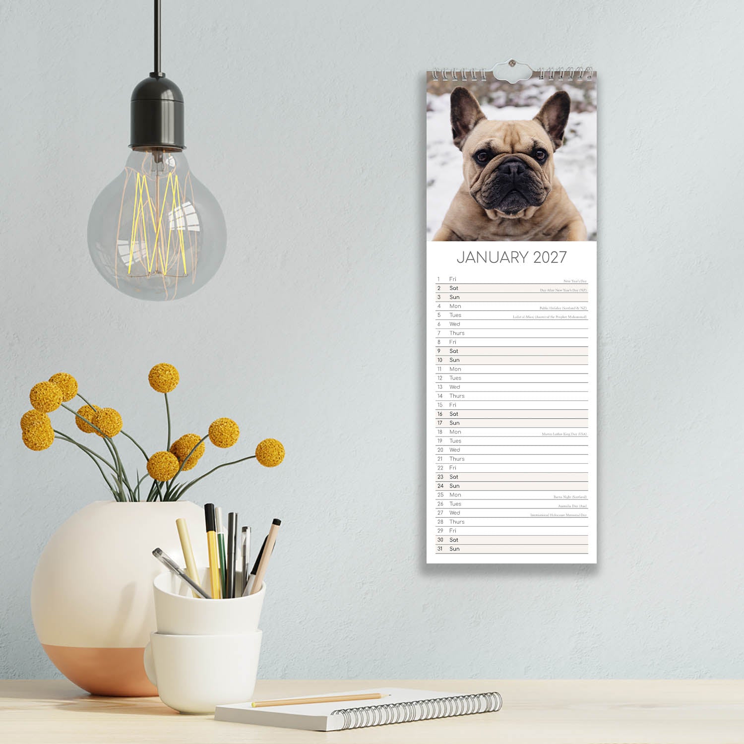 Slimline_Animals_Dogs_French_Bulldogs_2027_Jan_LS.jpg