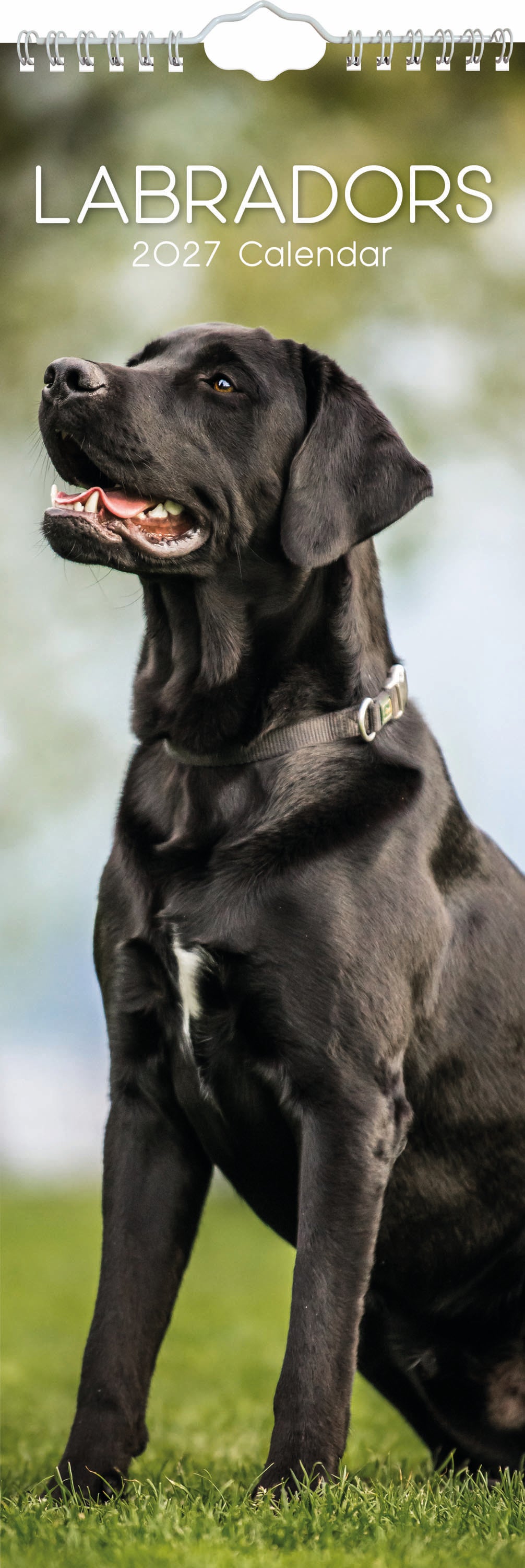 Slimline_Animals_Dogs_Labradors_2027_Cover.jpg