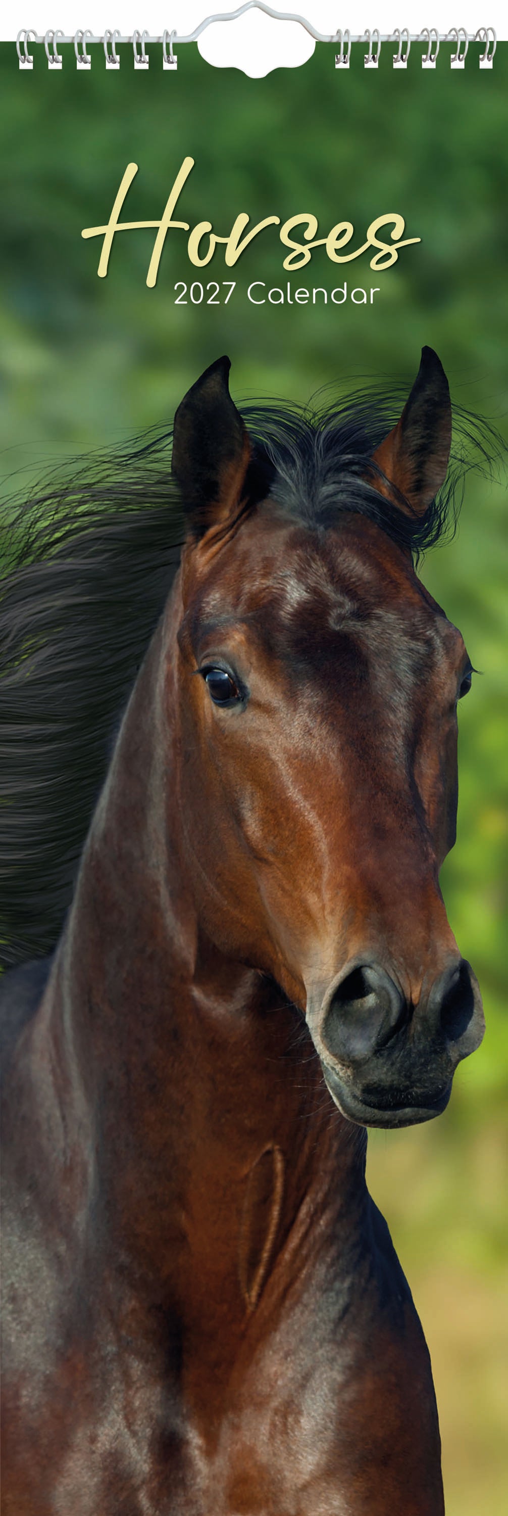 Slimline_Animals_Horses_2027_Cover.jpg