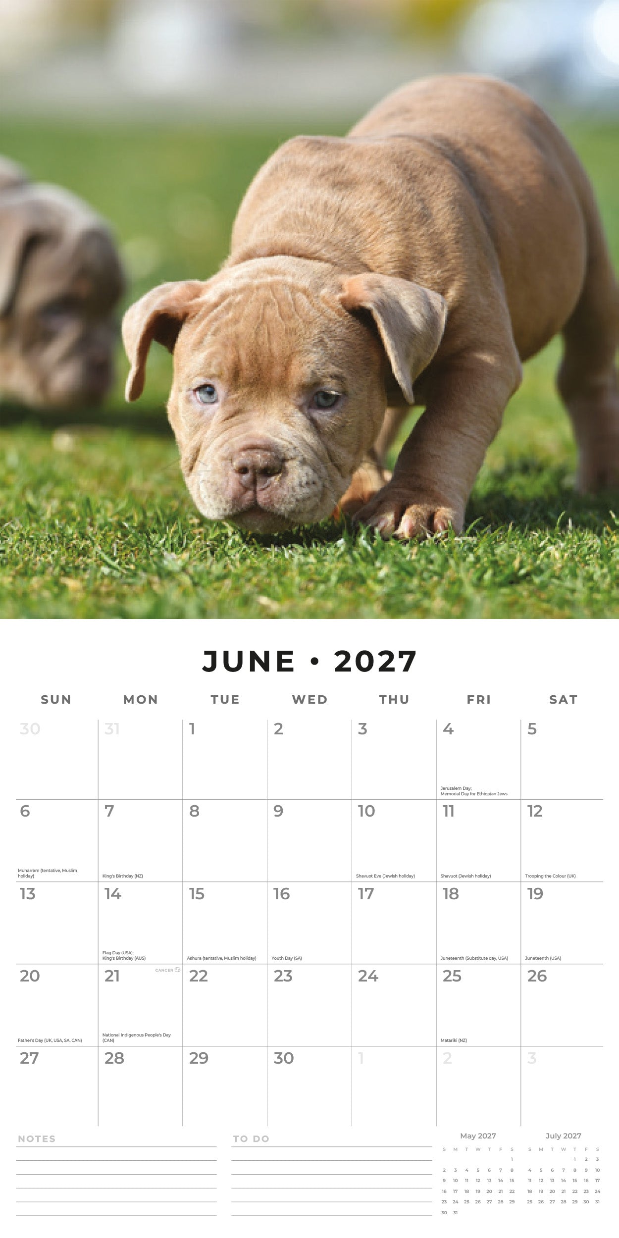 2027 Staffordshire Bull Terrier Puppies - Square Wall Calendar