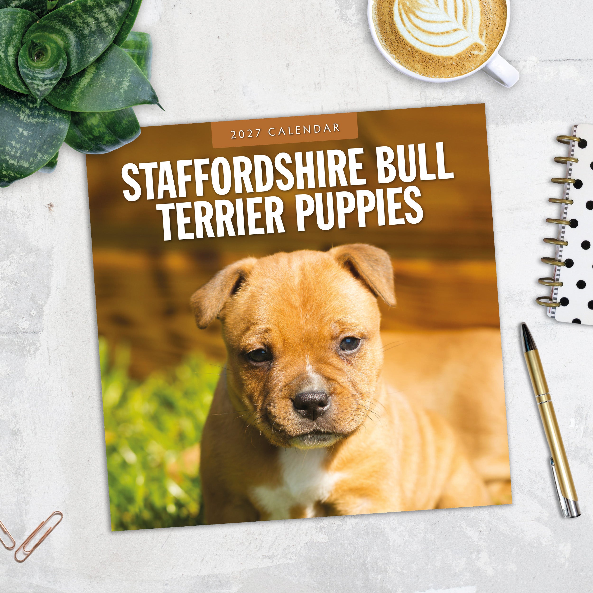 2027 Staffordshire Bull Terrier Puppies - Square Wall Calendar
