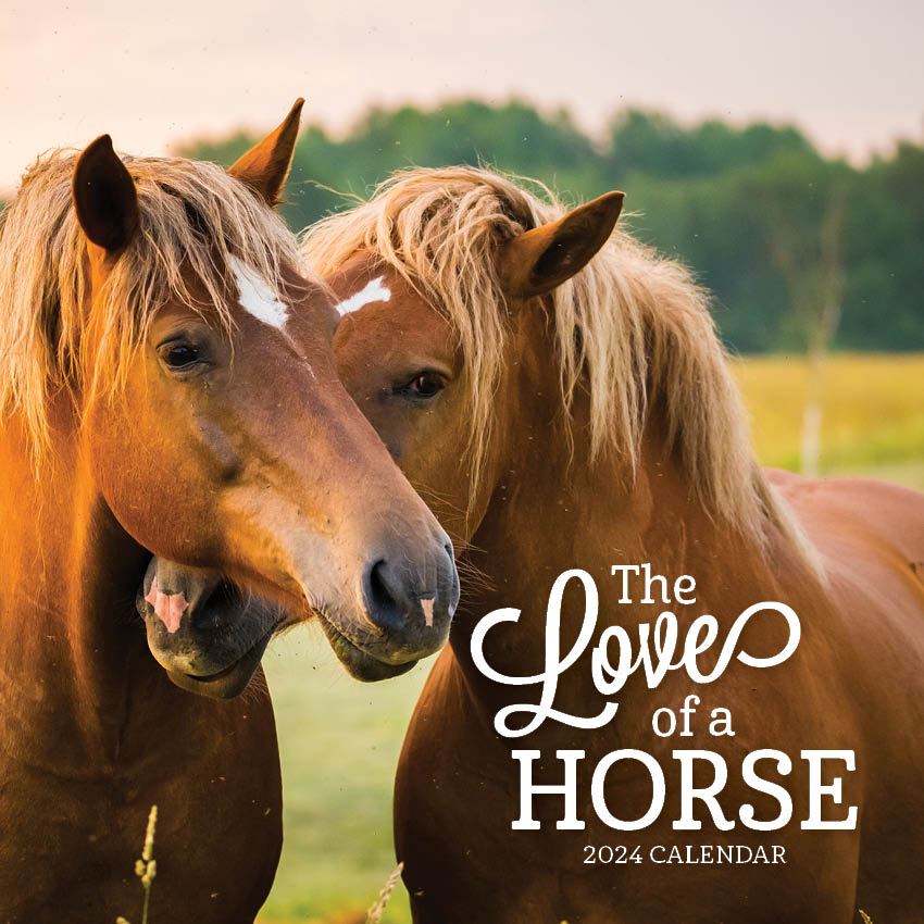 2024 The Love Of A Horse - Square Wall Calendar