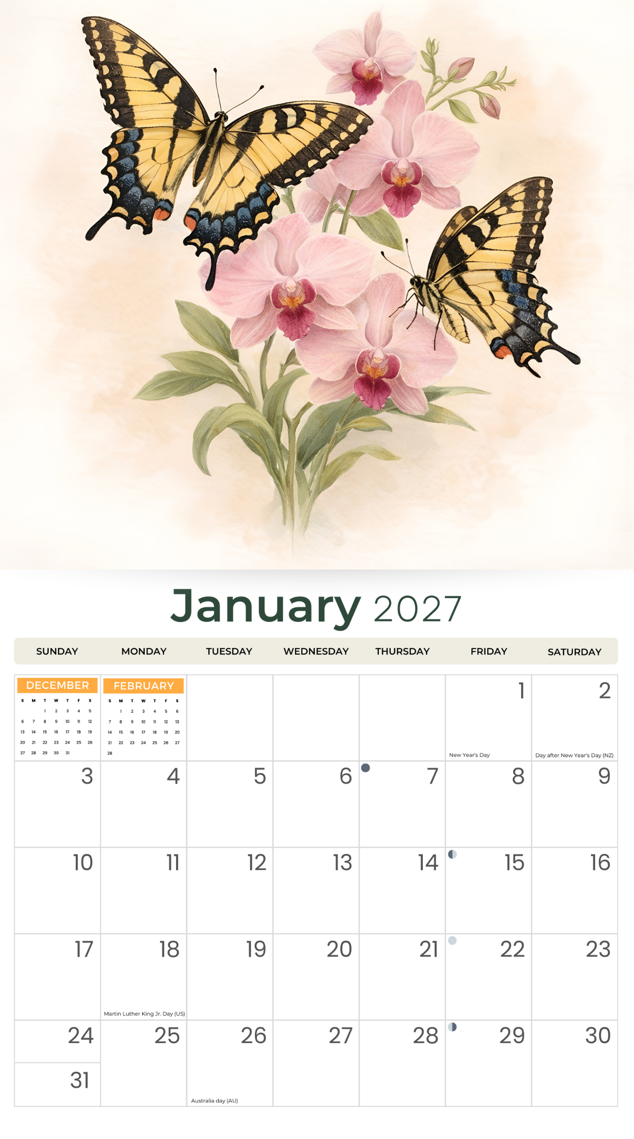 The_Art_Of_Butterflies_-_Inside_Cover.png