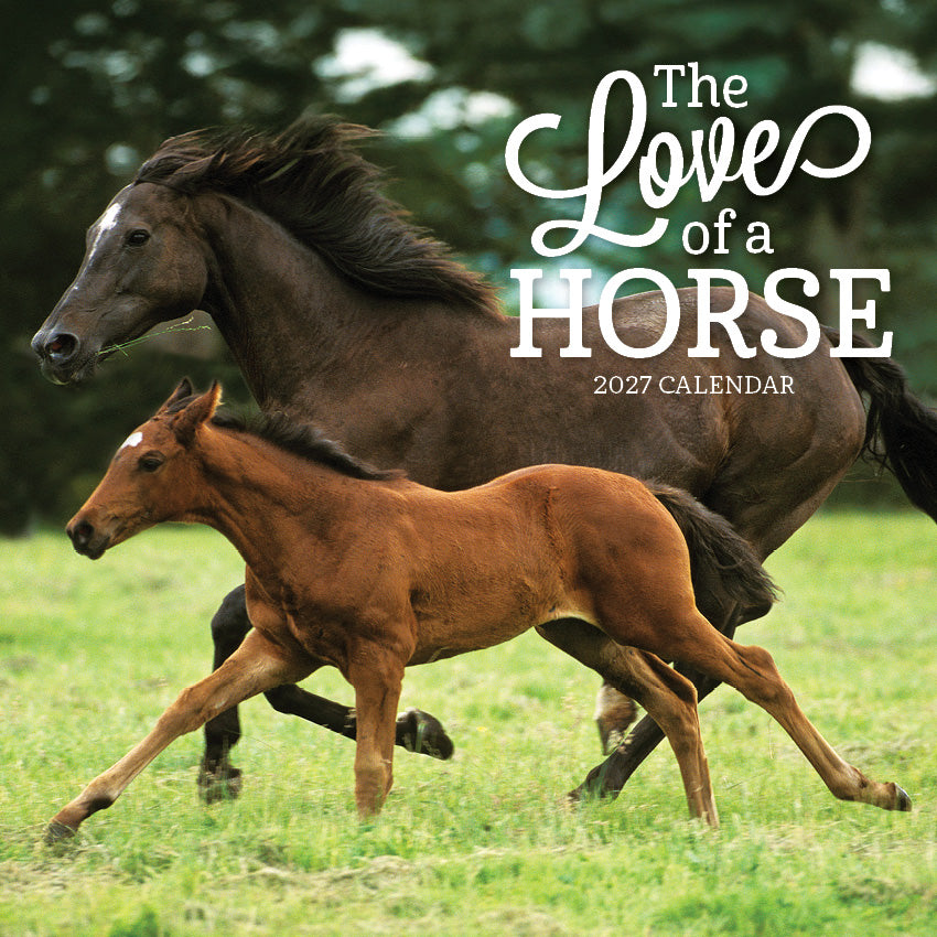 2027 The Love Of A Horse - Square Wall Calendar