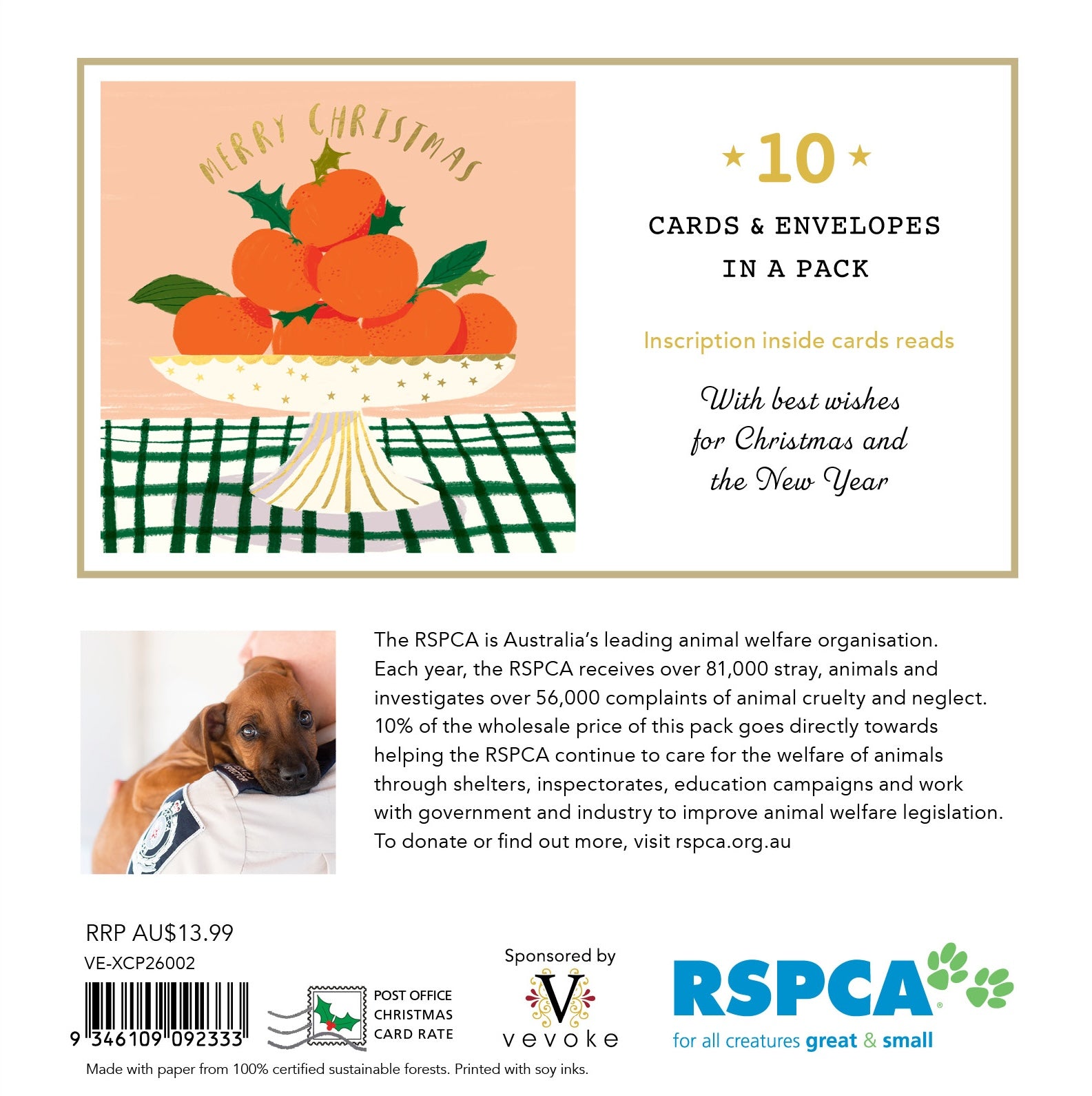 RSPCA - Bowl of Delights - 10 Charity Christmas Cards Pack