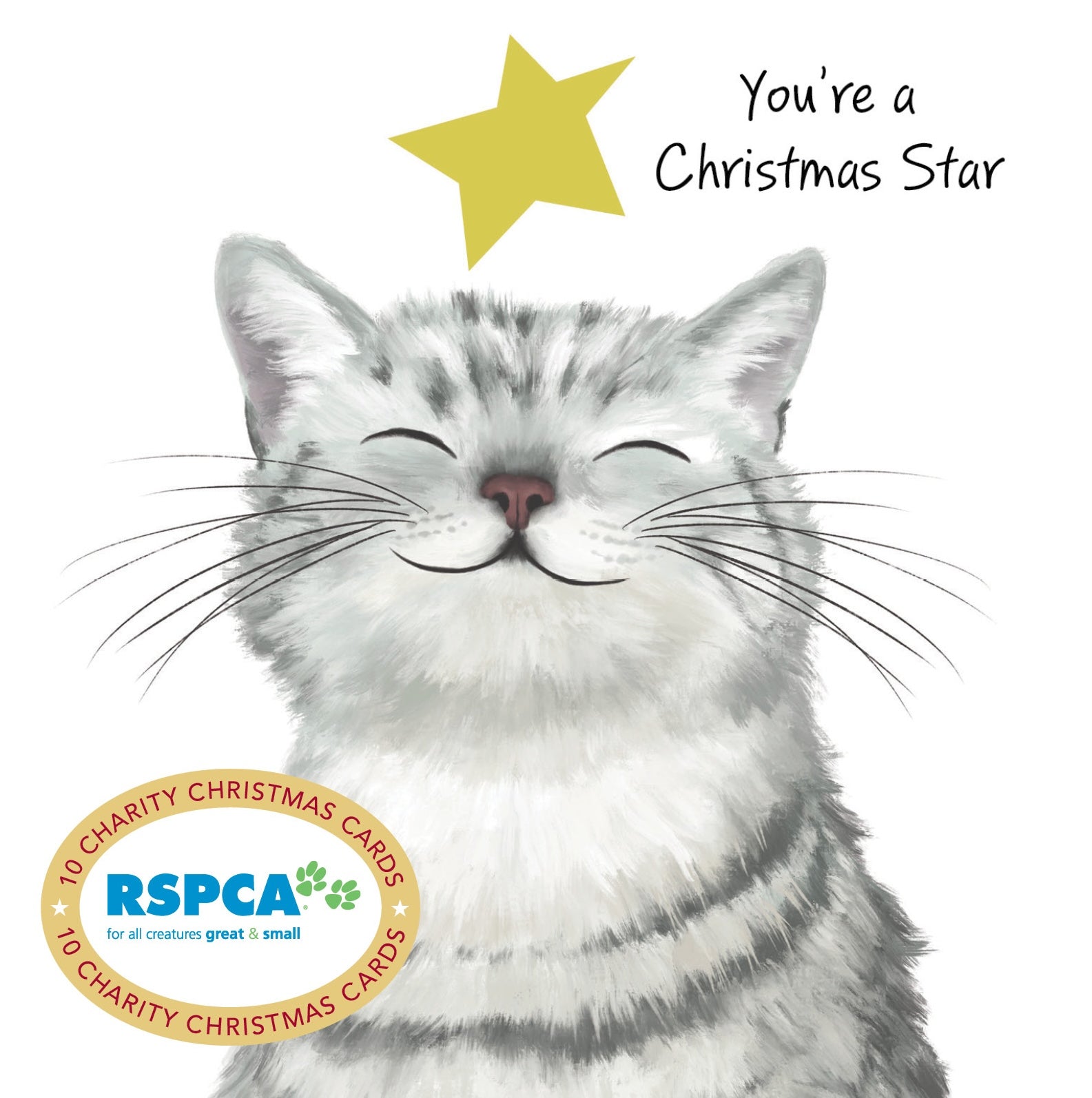 RSPCA - Christmas Star - 10 Charity Christmas Cards Pack