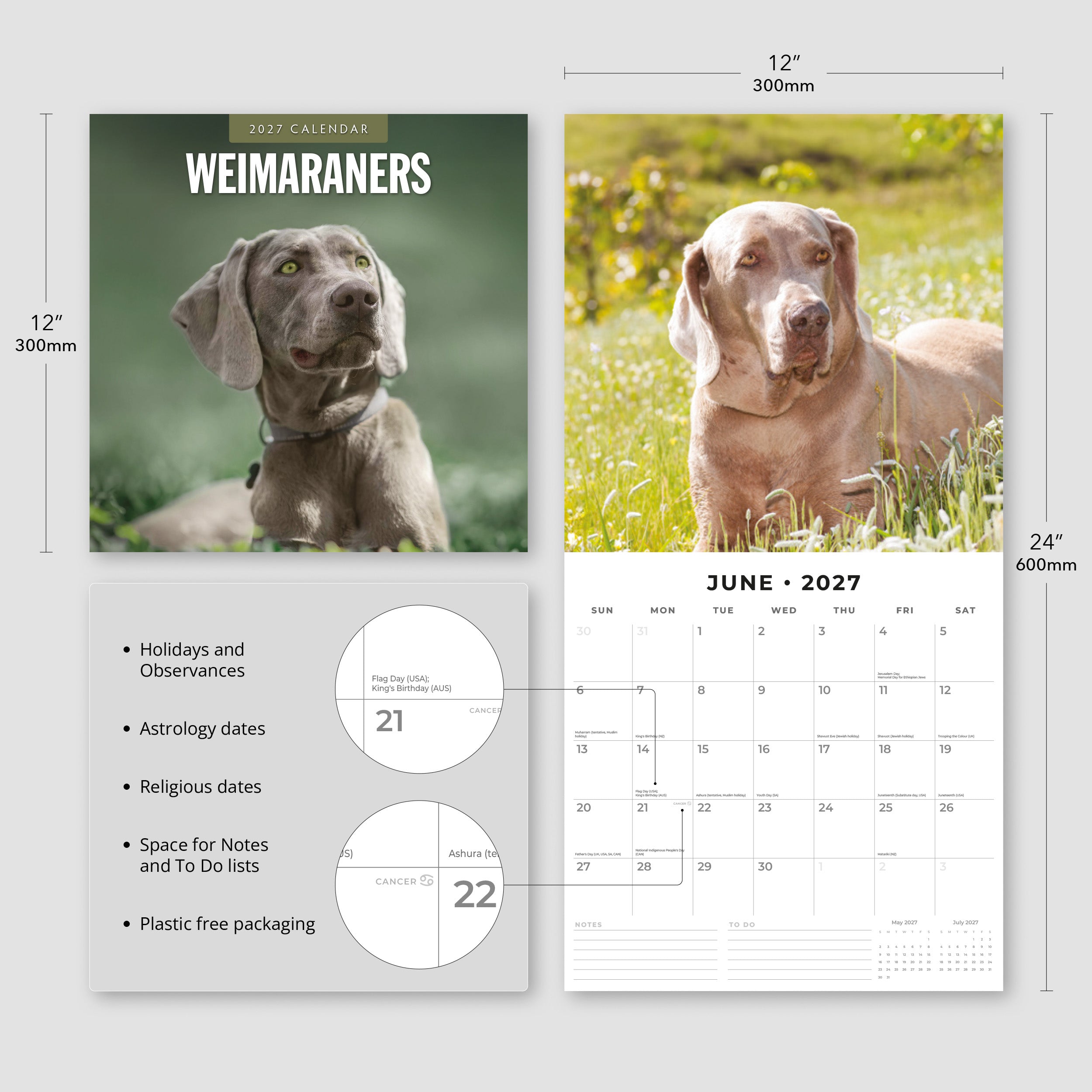 2027 Weimaraners - Square Wall Calendar