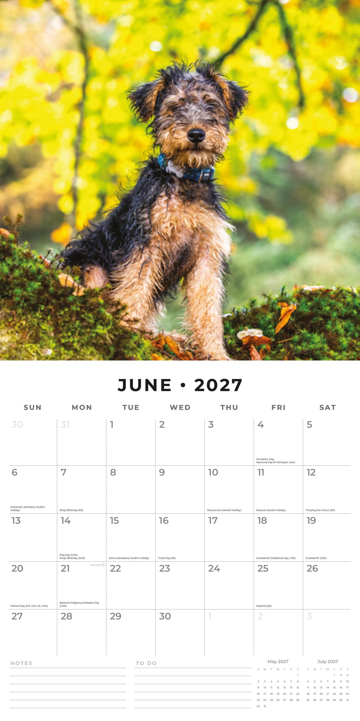 2027 Welsh Terriers - Square Wall Calendar