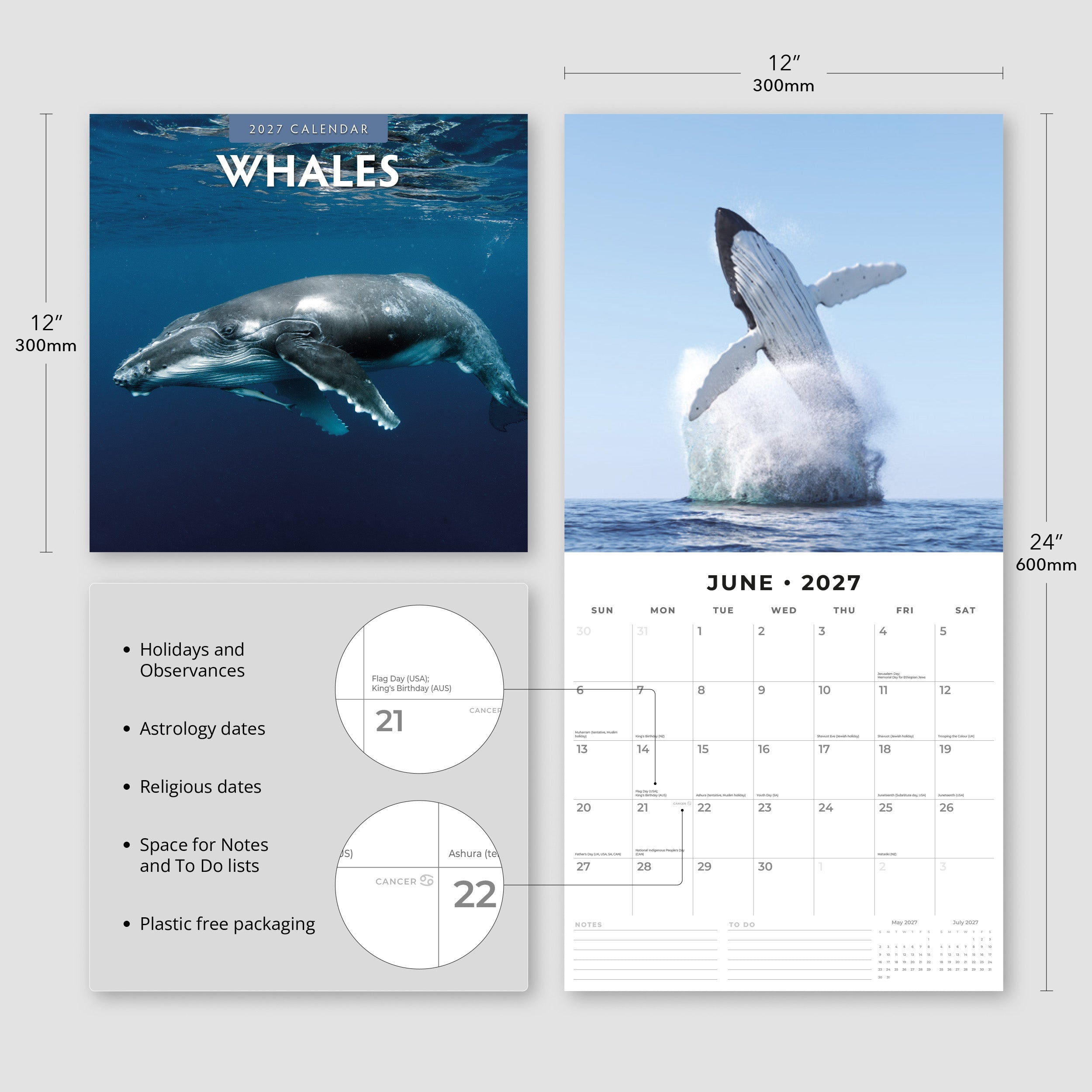 2027 Whales - Square Wall Calendar