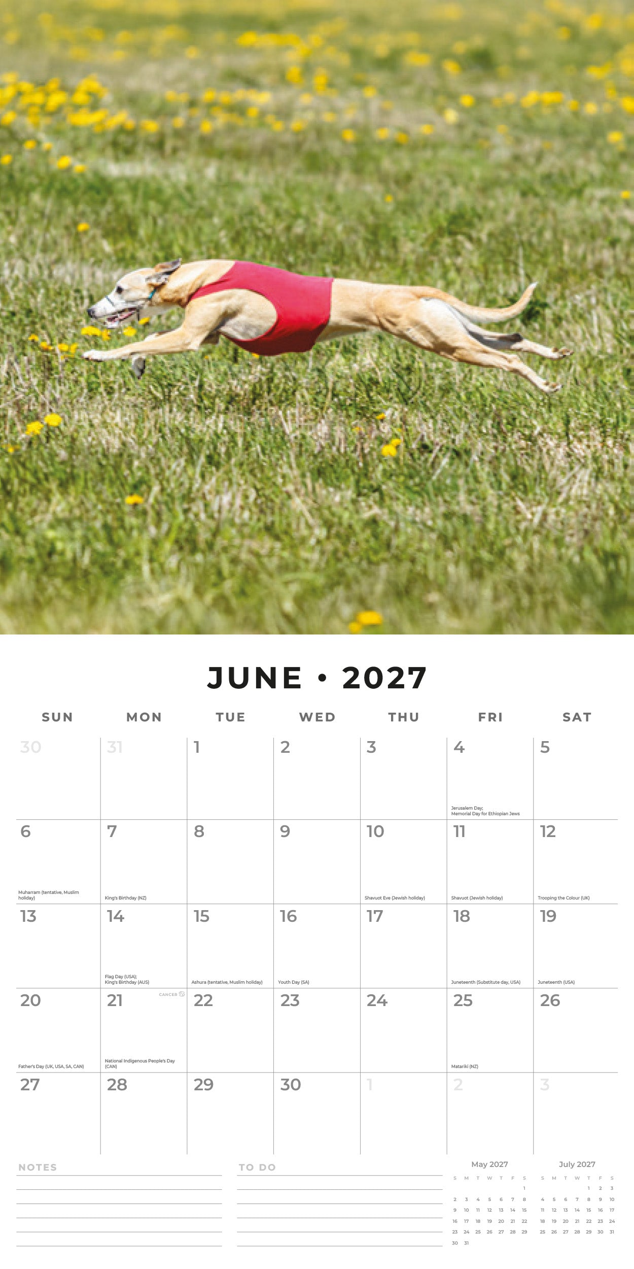 2027 Whippets - Square Wall Calendar