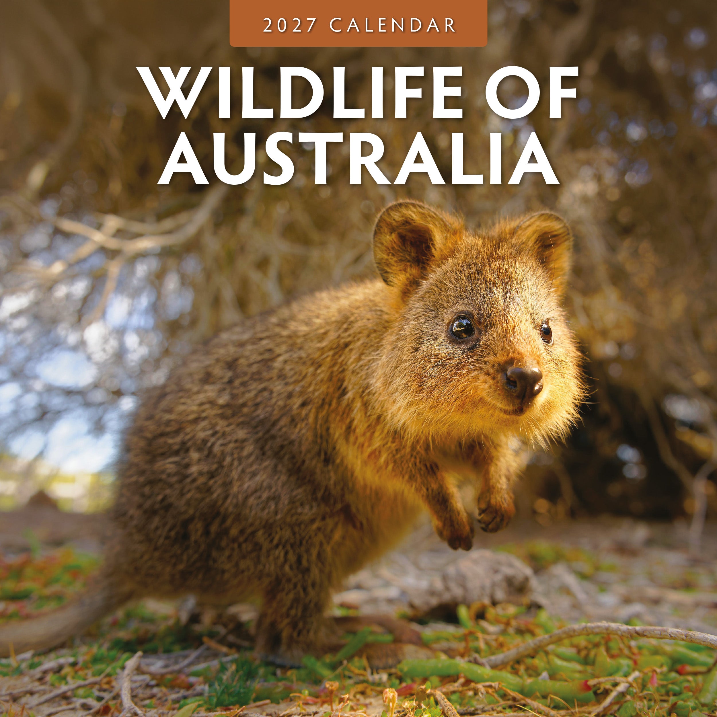 2027 Wildlife of Australia - Square Wall Calendar