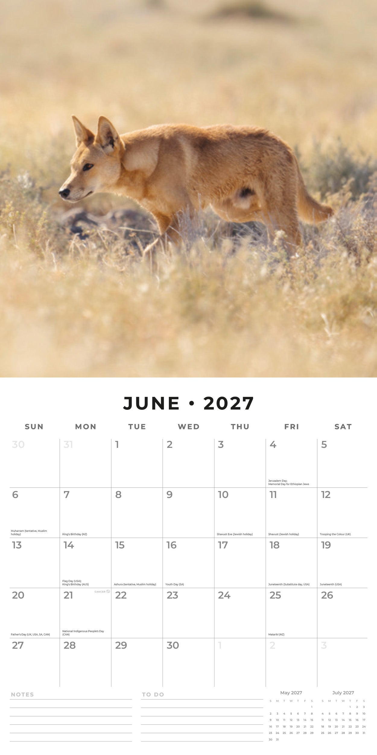 2027 Wildlife of Australia - Square Wall Calendar