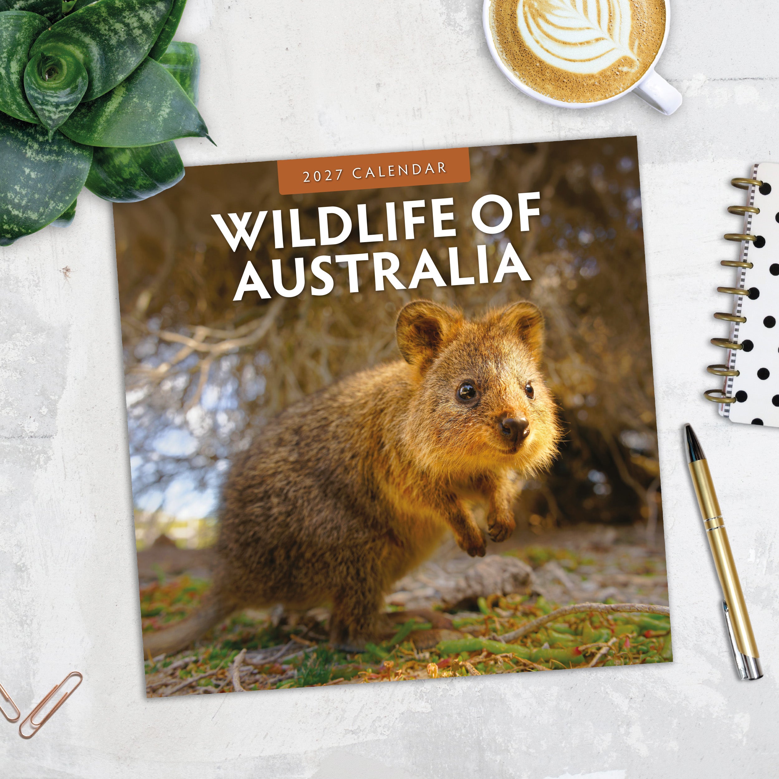 2027 Wildlife of Australia - Square Wall Calendar